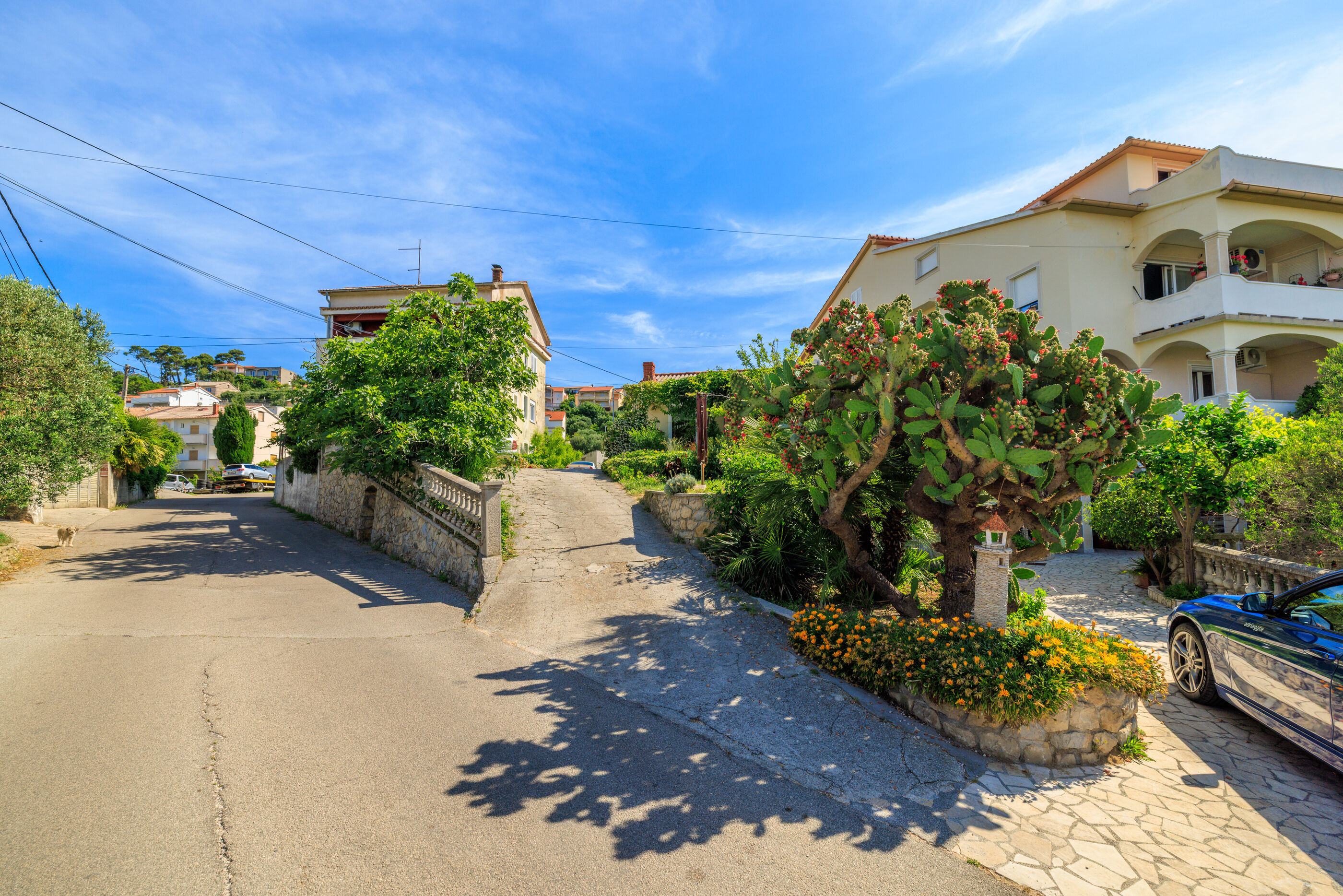 Photo of Apartments Tatjana