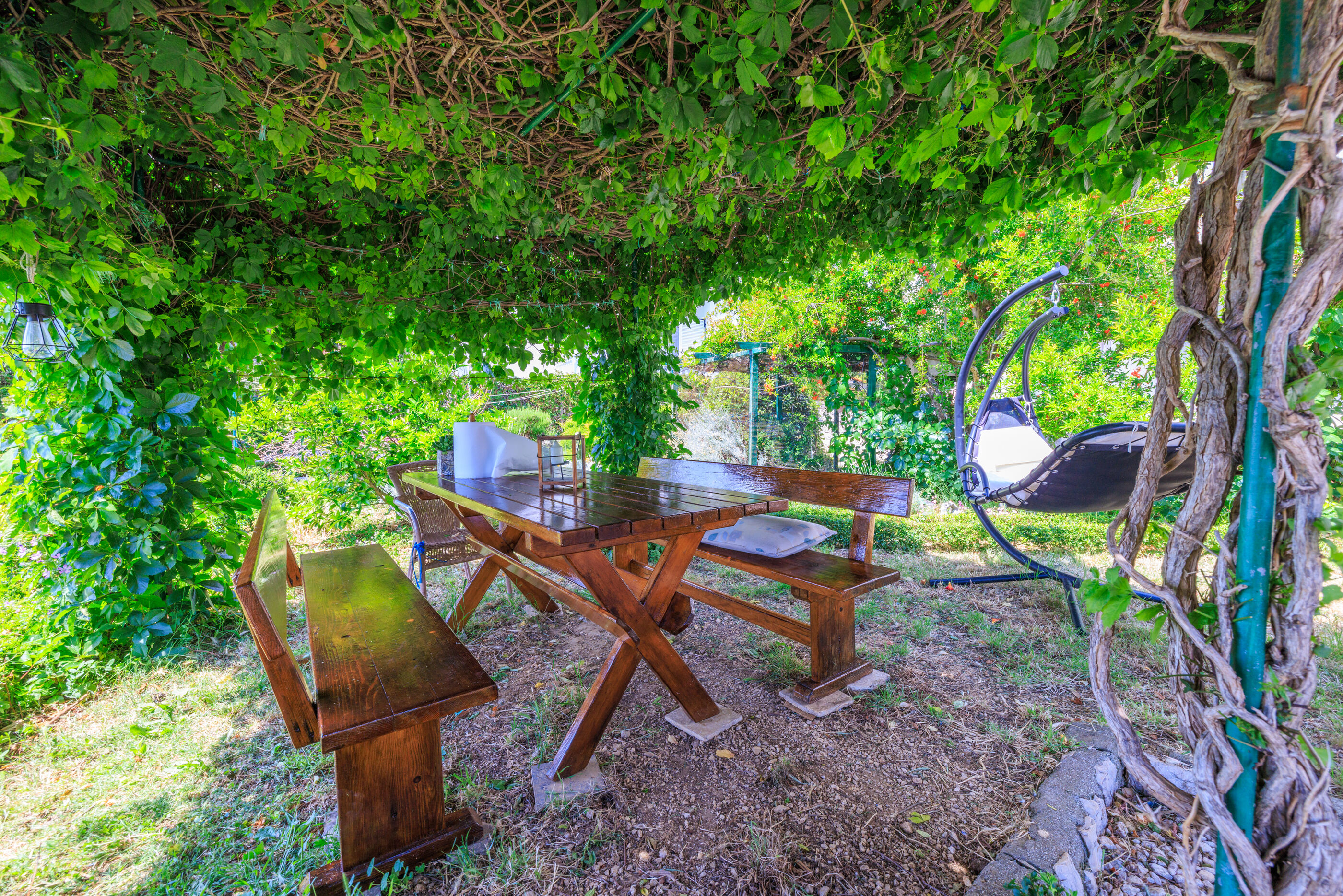 Photo of Apartments Biserka