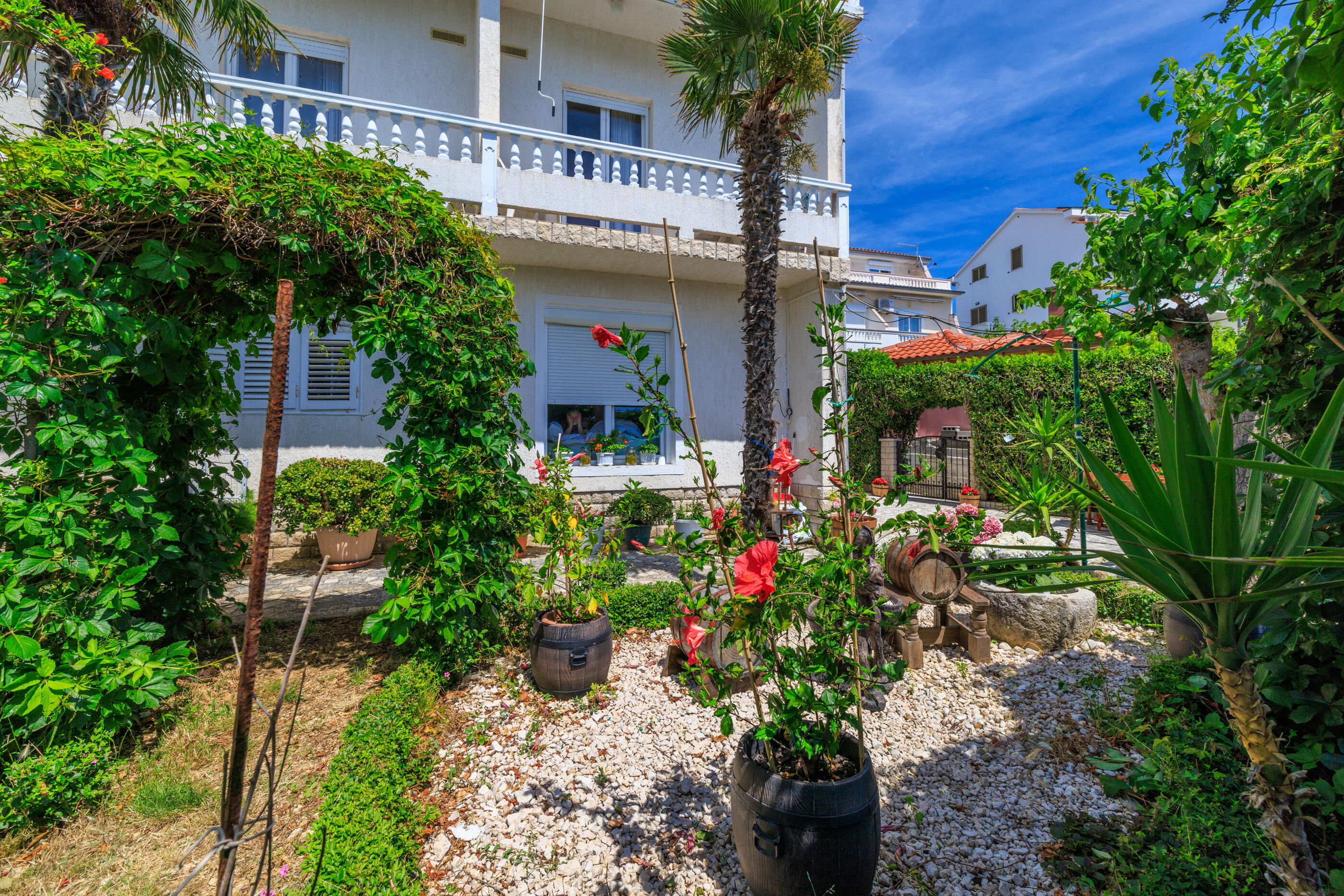 Photo of Apartments Biserka