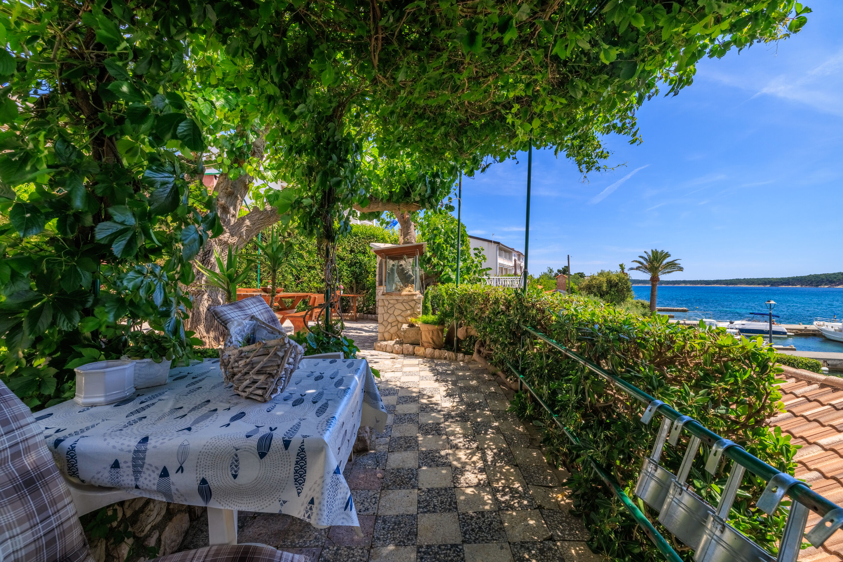 Photo of Apartments Biserka