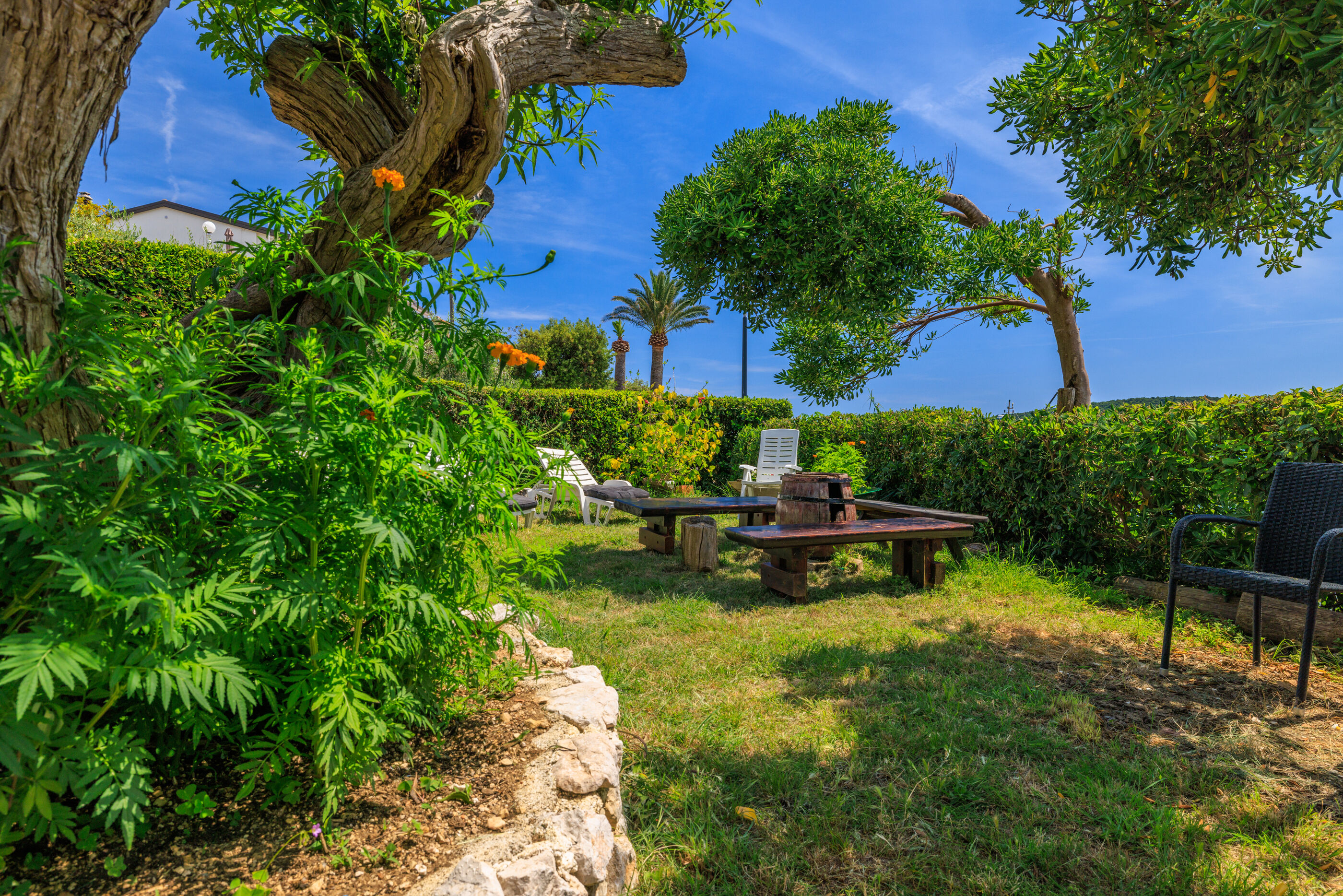 Photo of Apartments Biserka