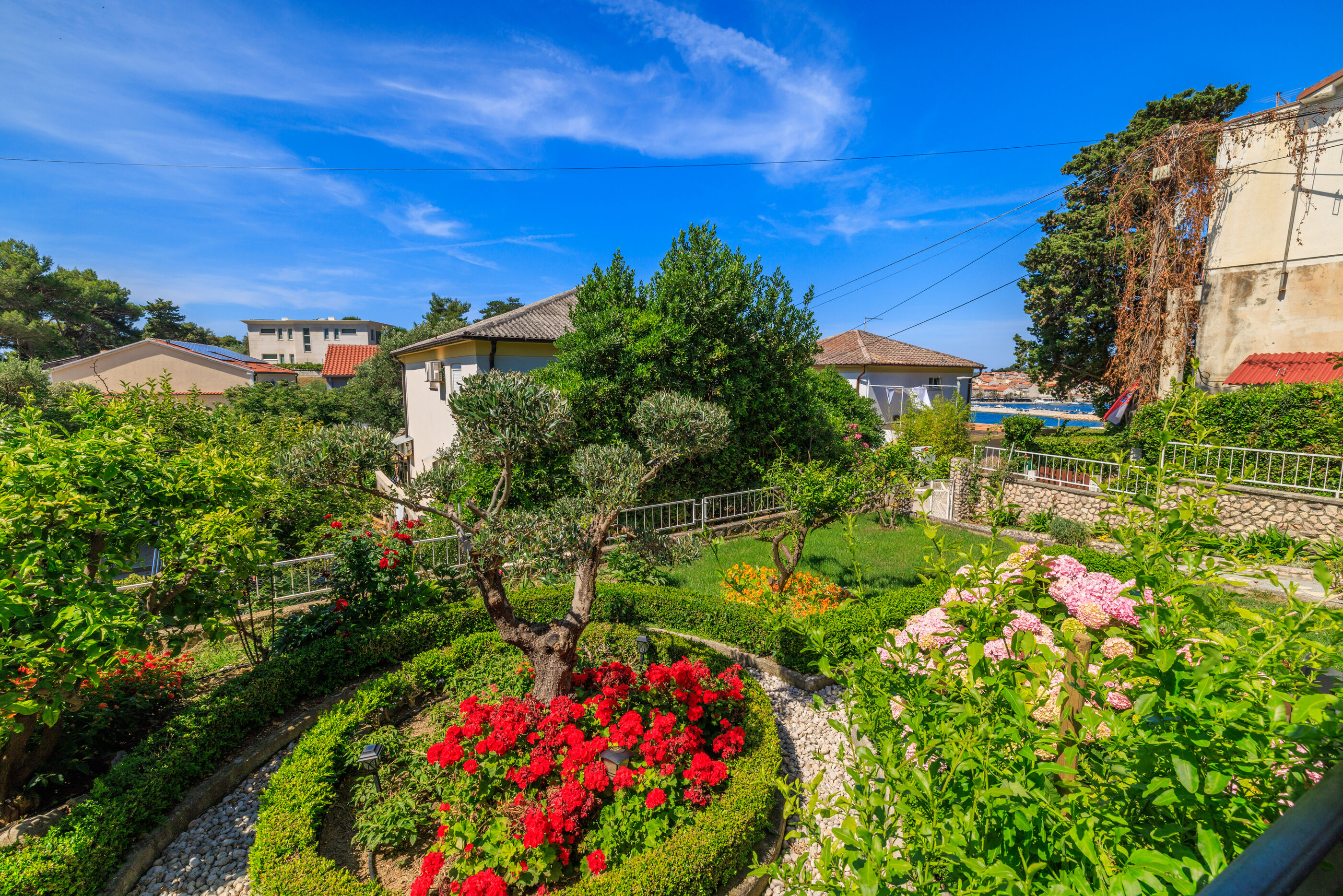 Photo of Apartments Rajka