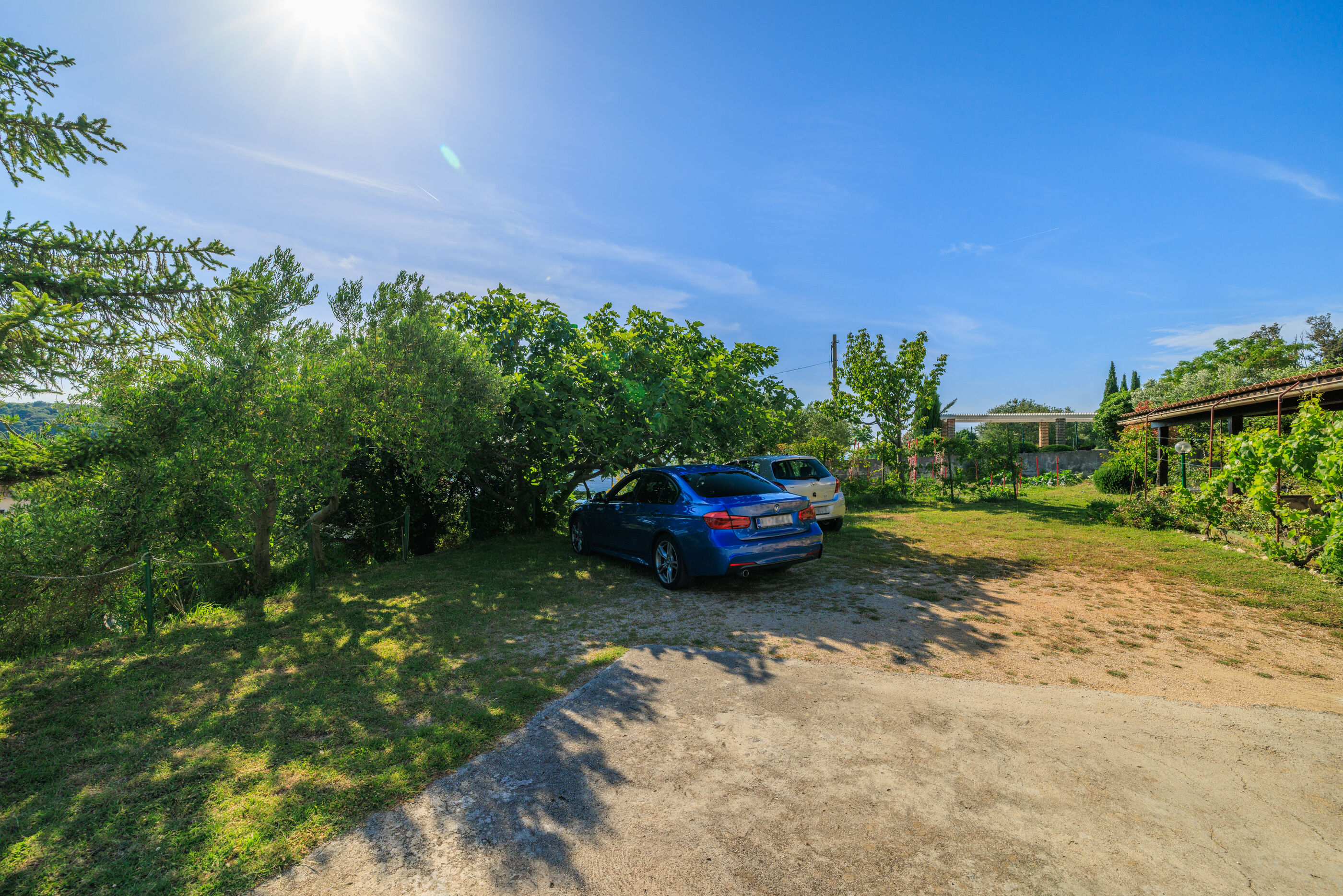 Photo of Apartments Davorka