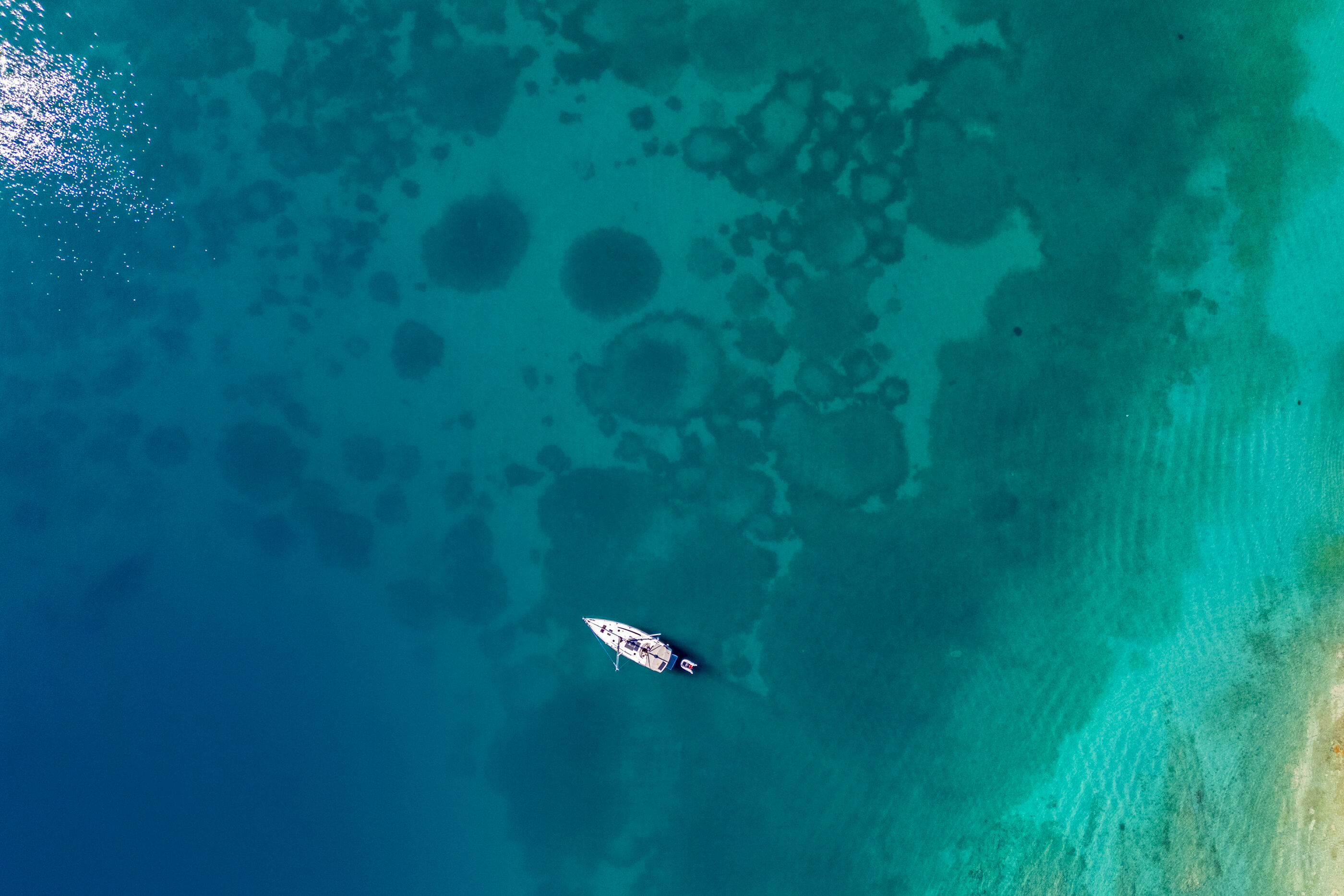 Photo of Apartments Zarko