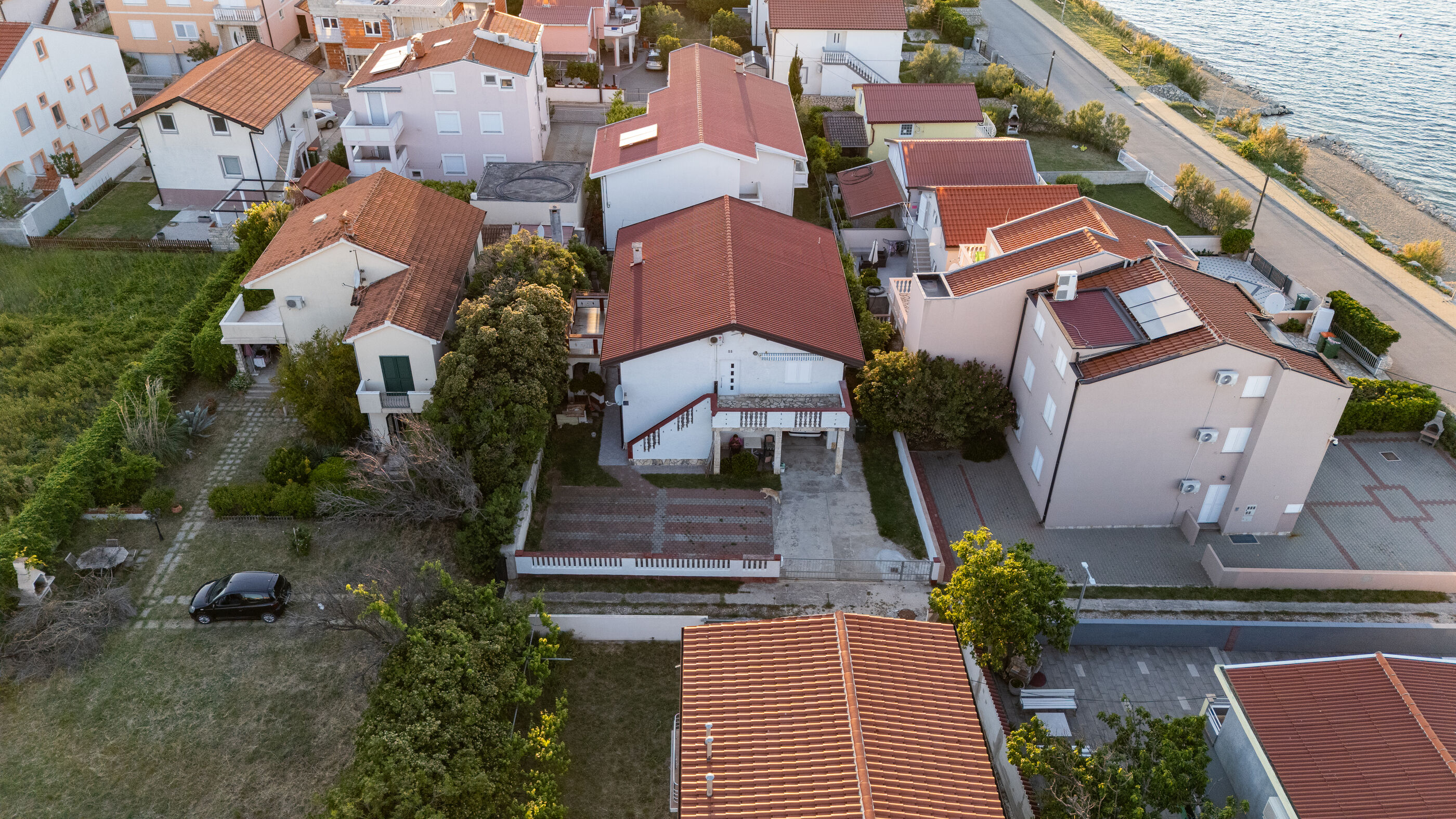 Photo of Apartment Petar