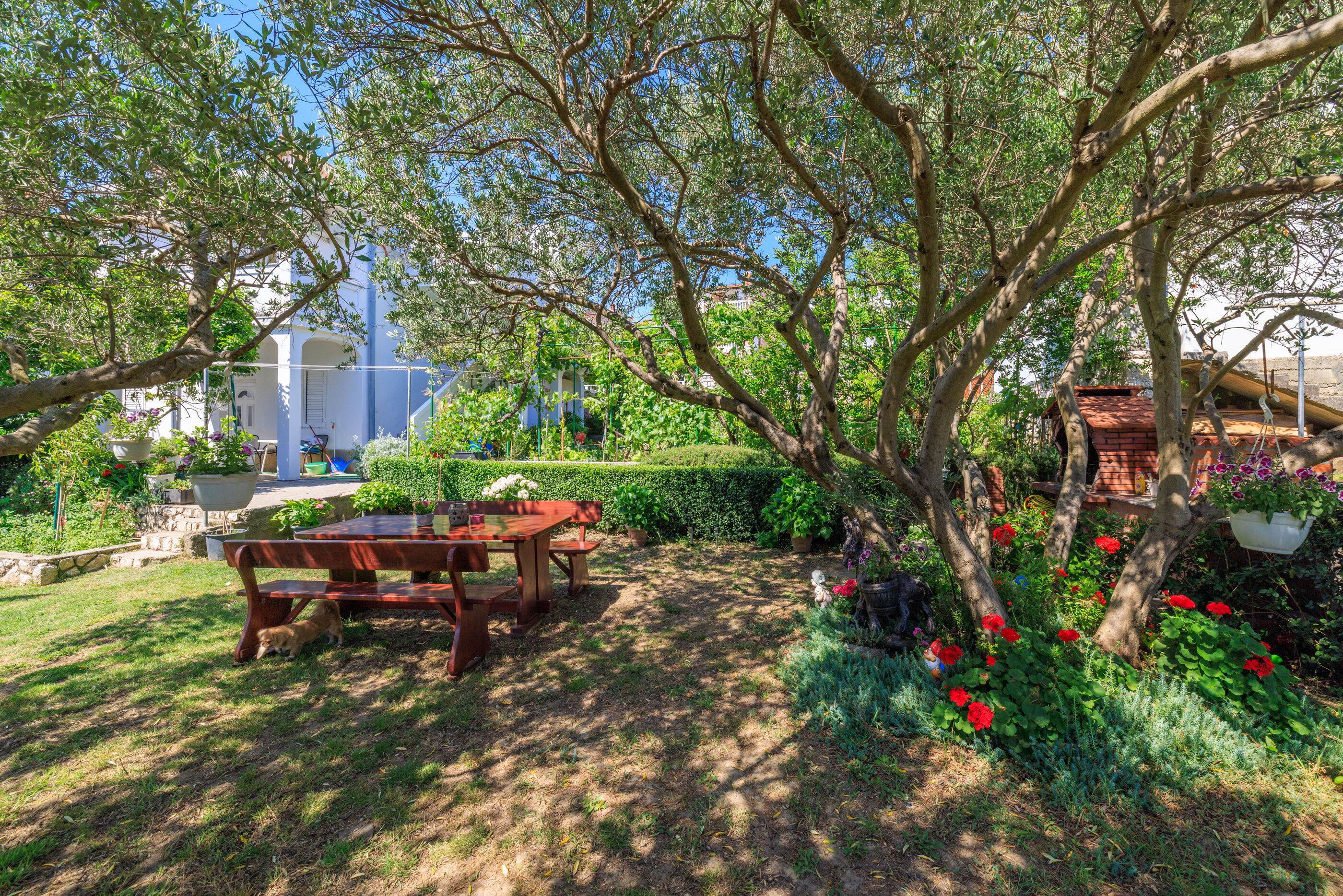 Photo of Apartments D. MATAHLIJA