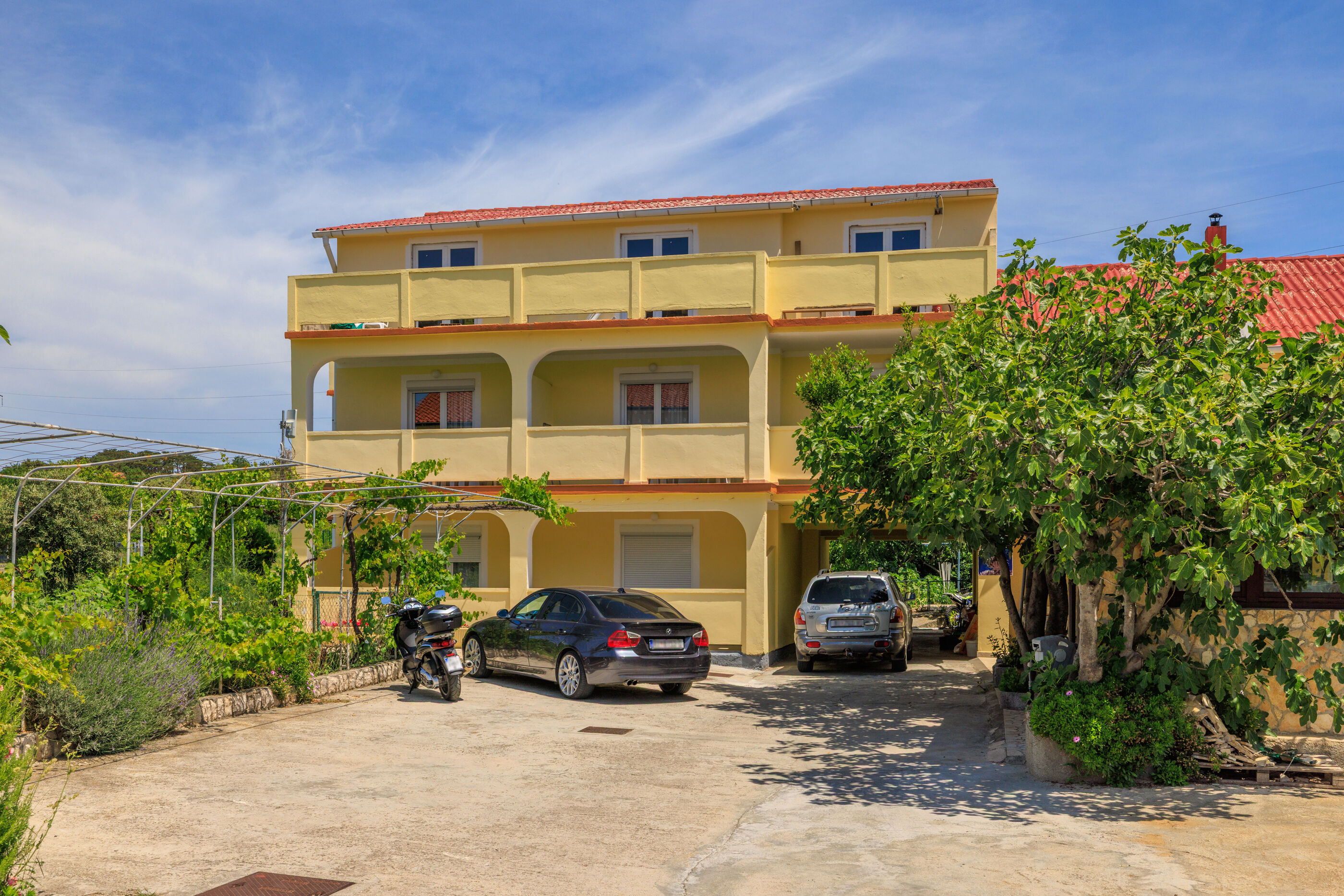 Photo of Apartments Milorad M