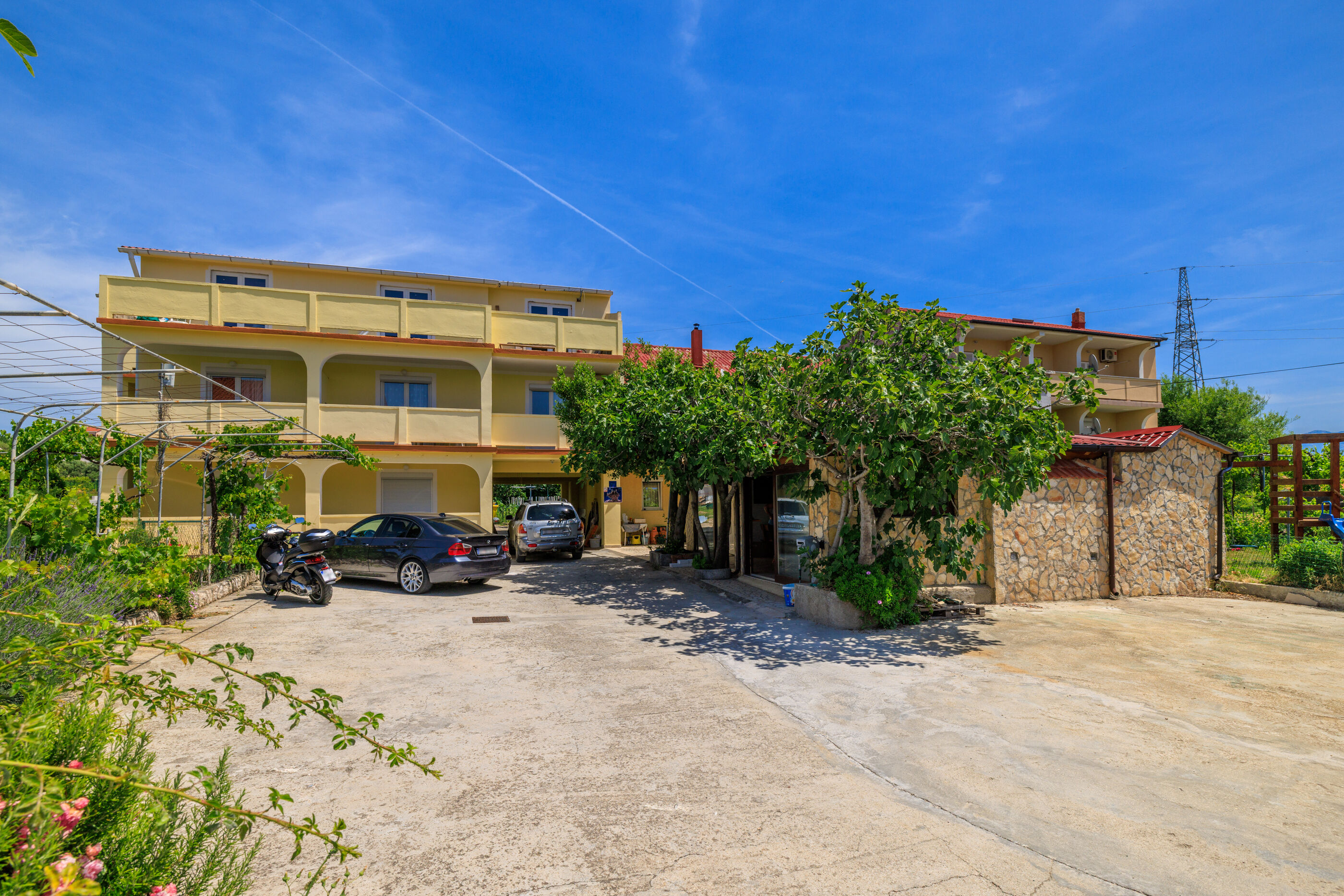 Photo of Apartments Milorad M