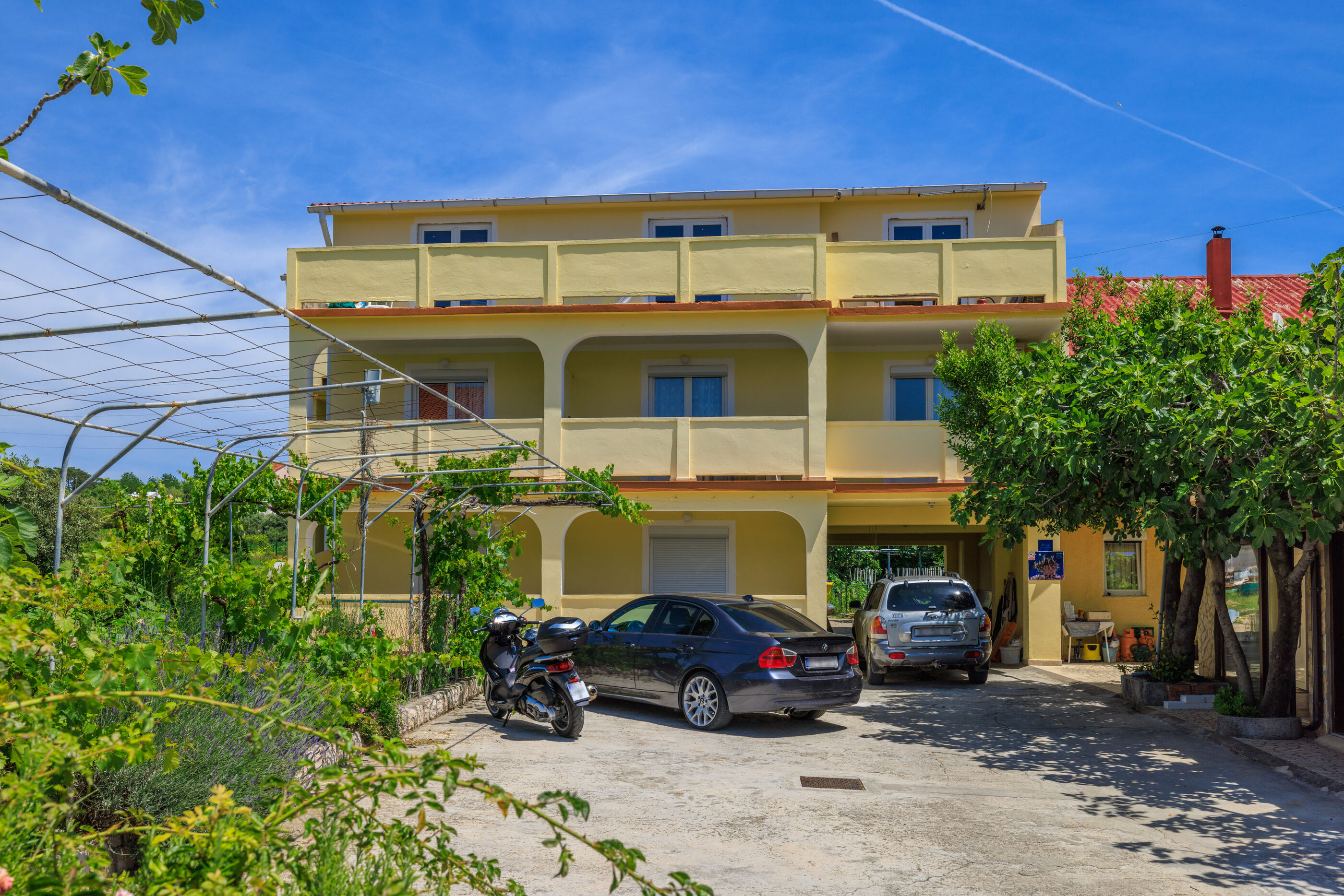 Photo of Apartments Milorad M