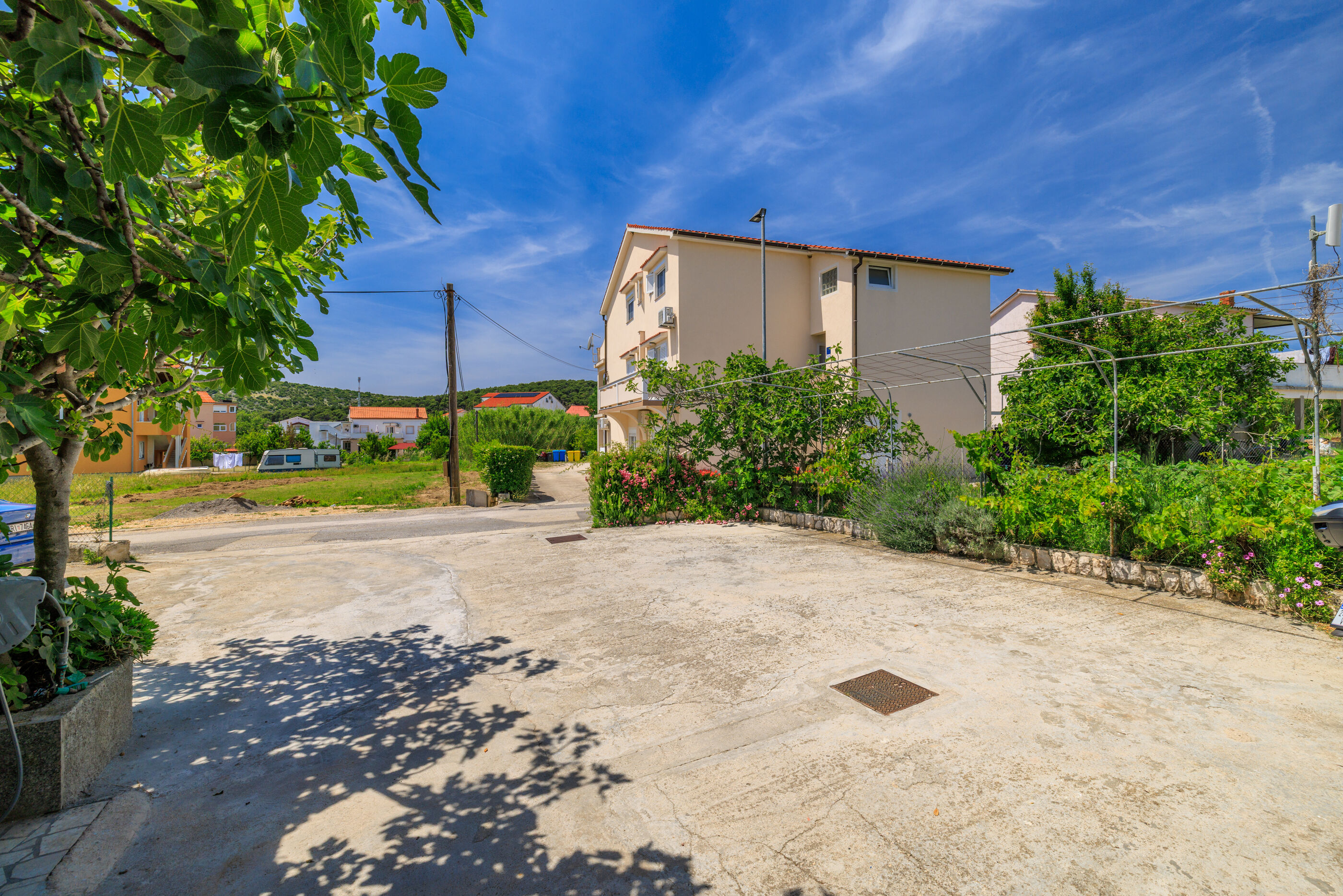 Photo of Apartments Milorad M