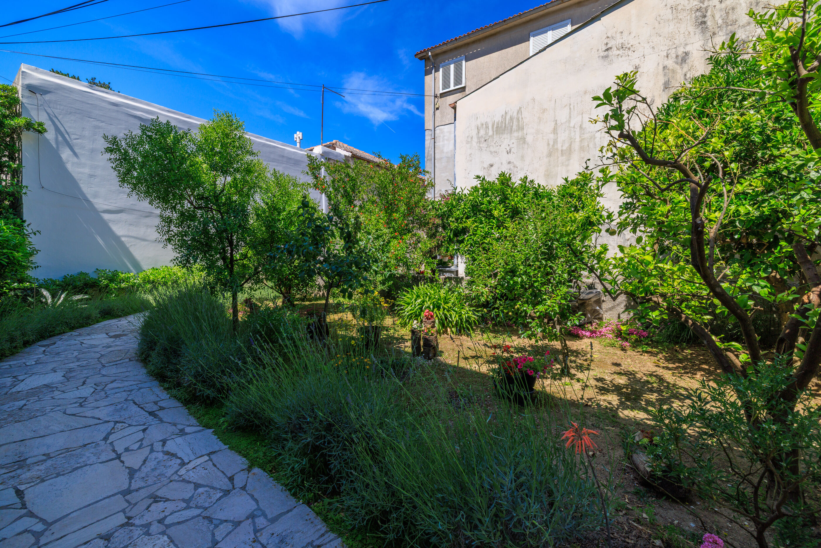 Photo of Apartments Keko