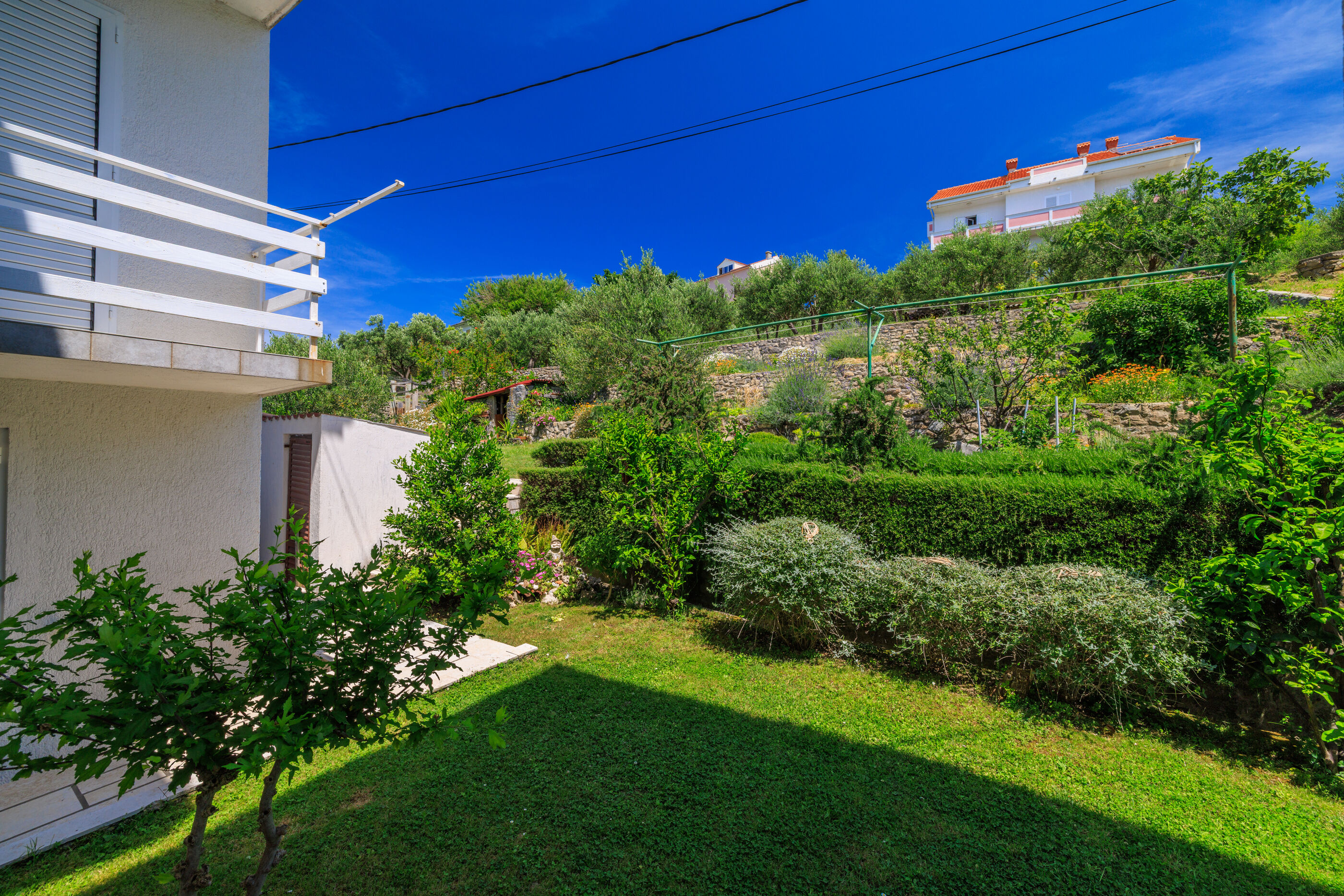 Photo of Apartments Marijana