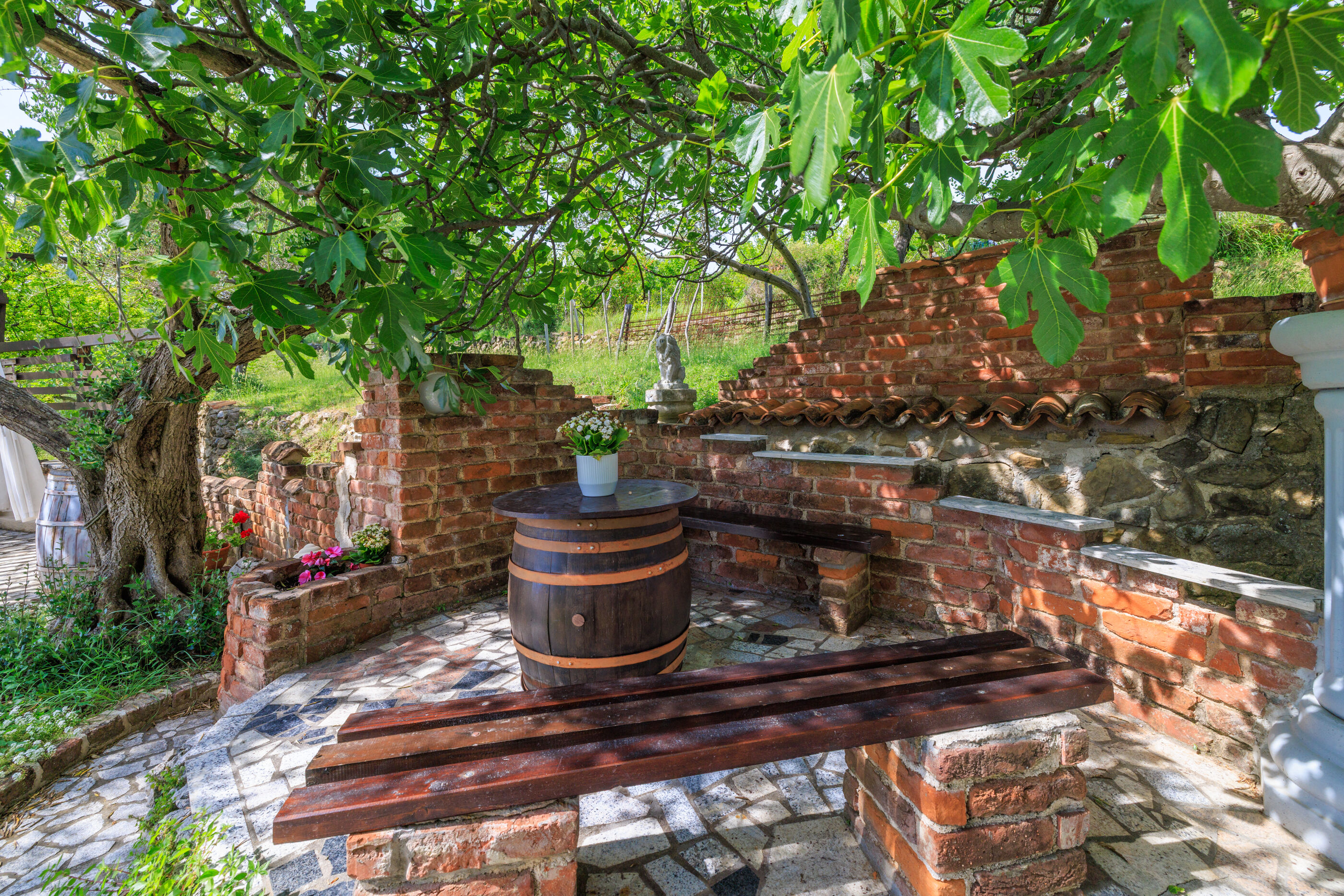 Photo of Apartments Roby