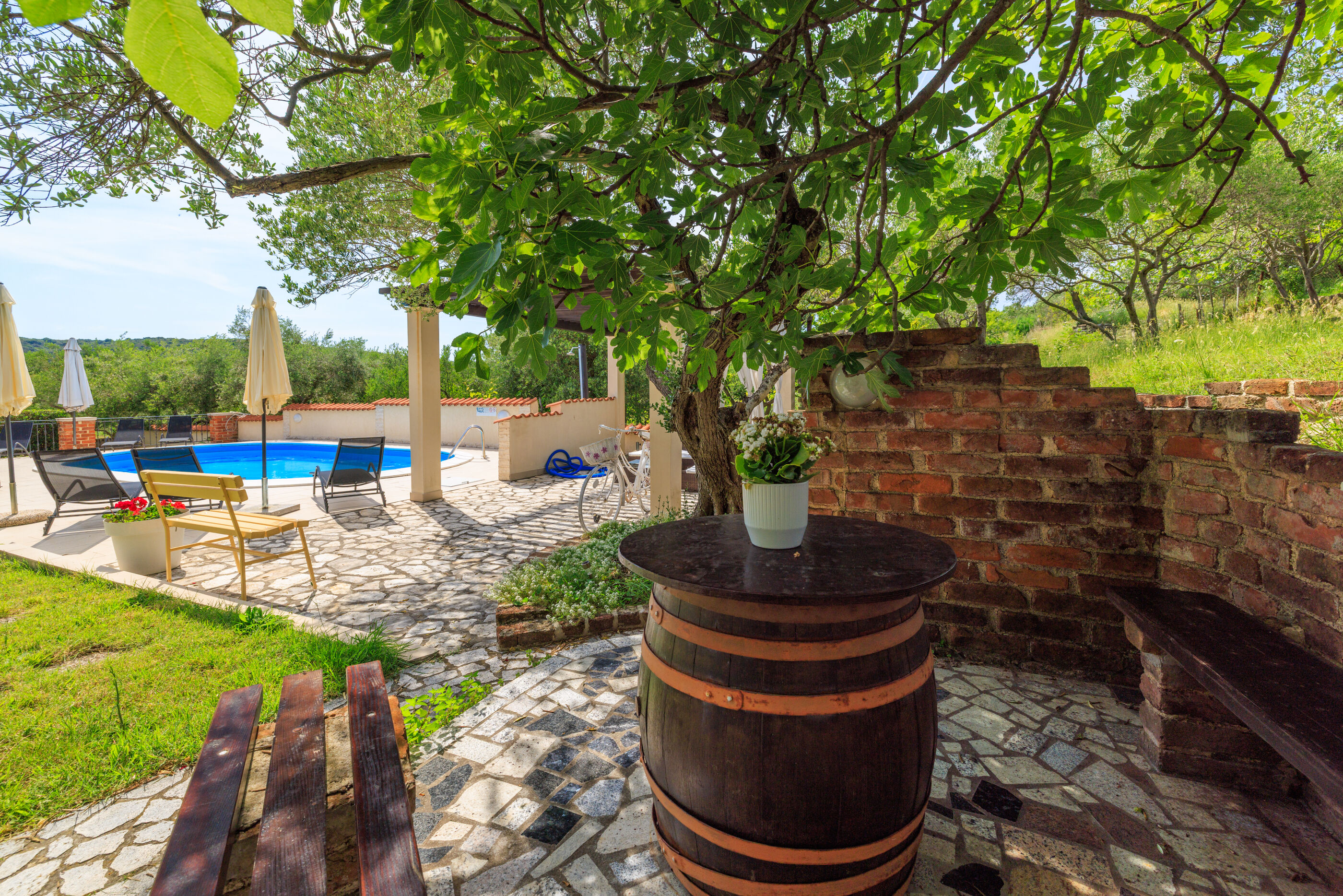 Photo of Apartments Roby