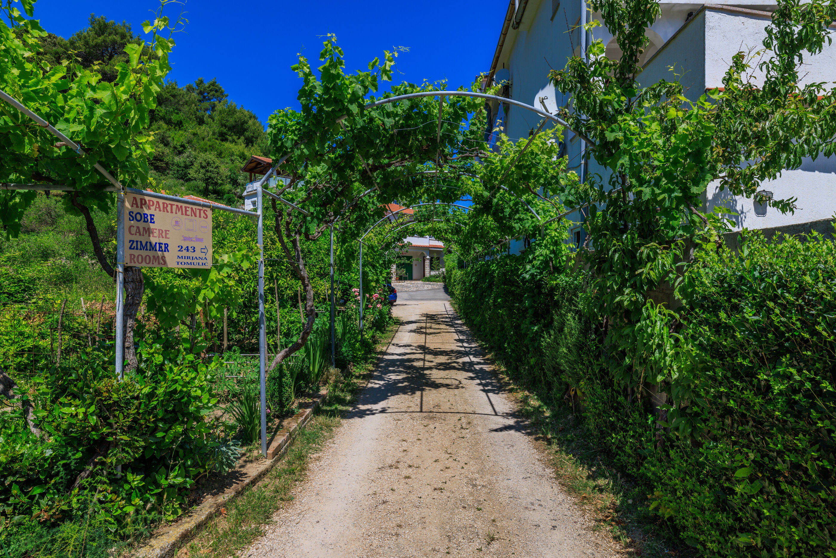 Photo of Apartments Mirjana T.