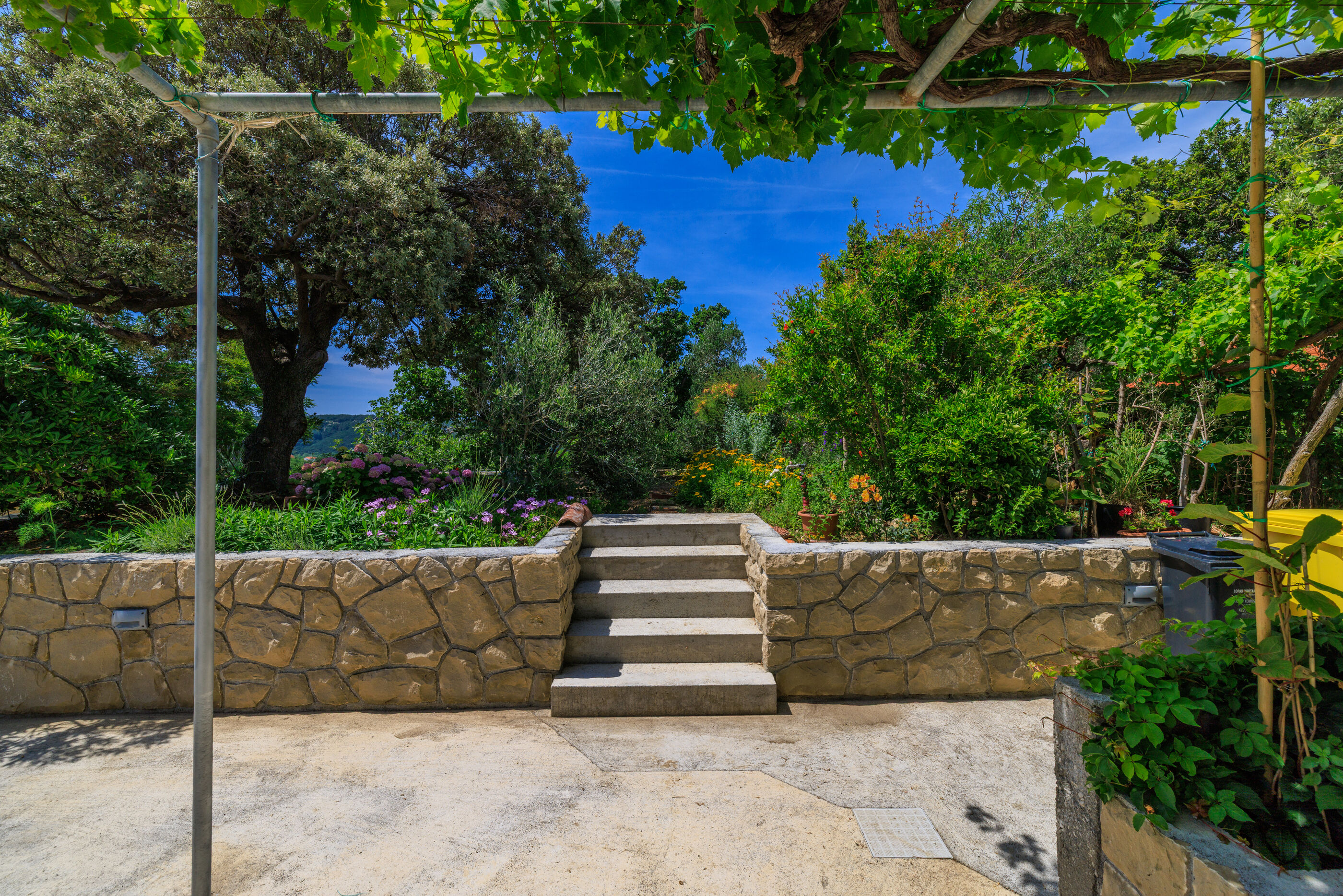 Photo of Apartment MiMa