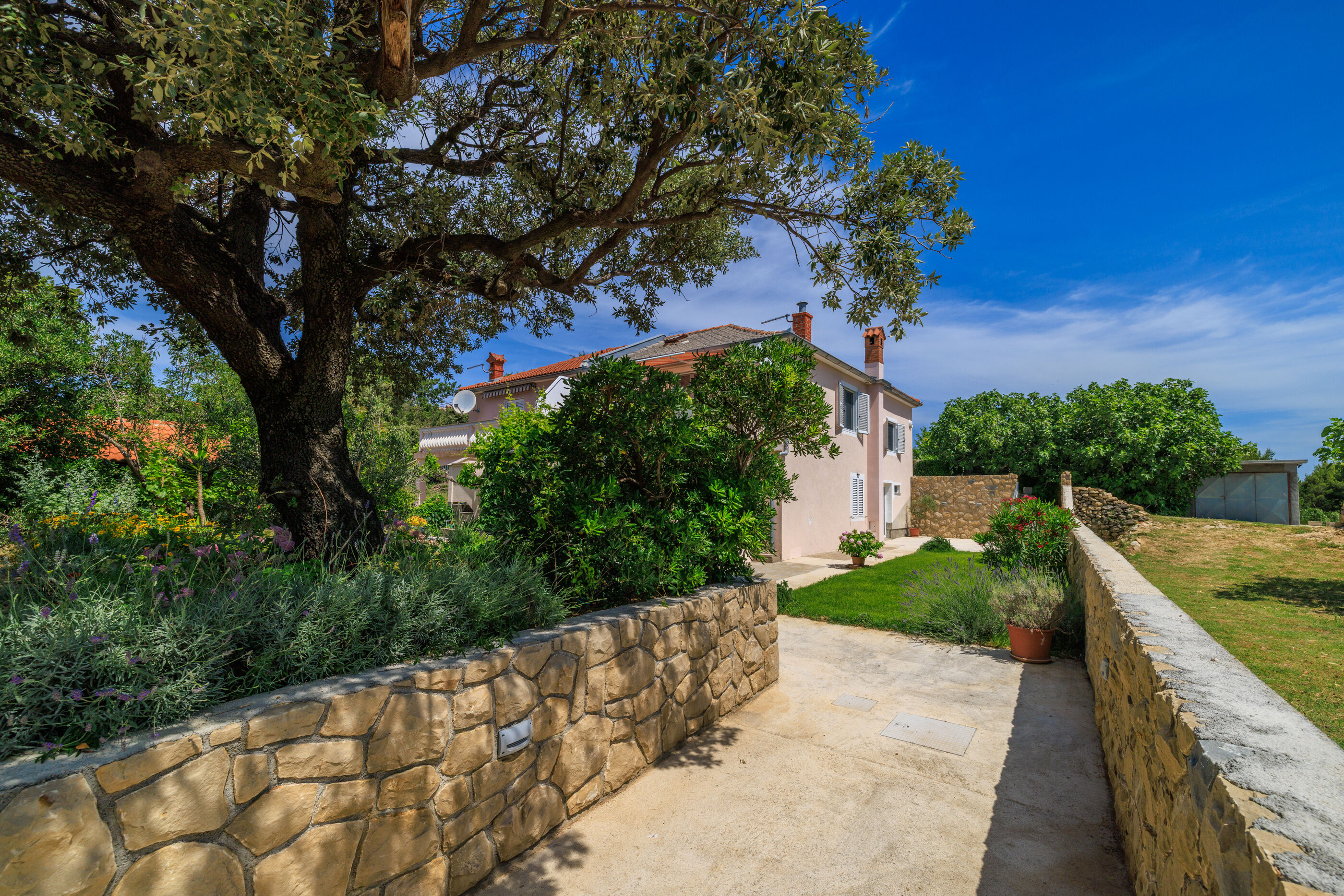 Photo of Apartment MiMa