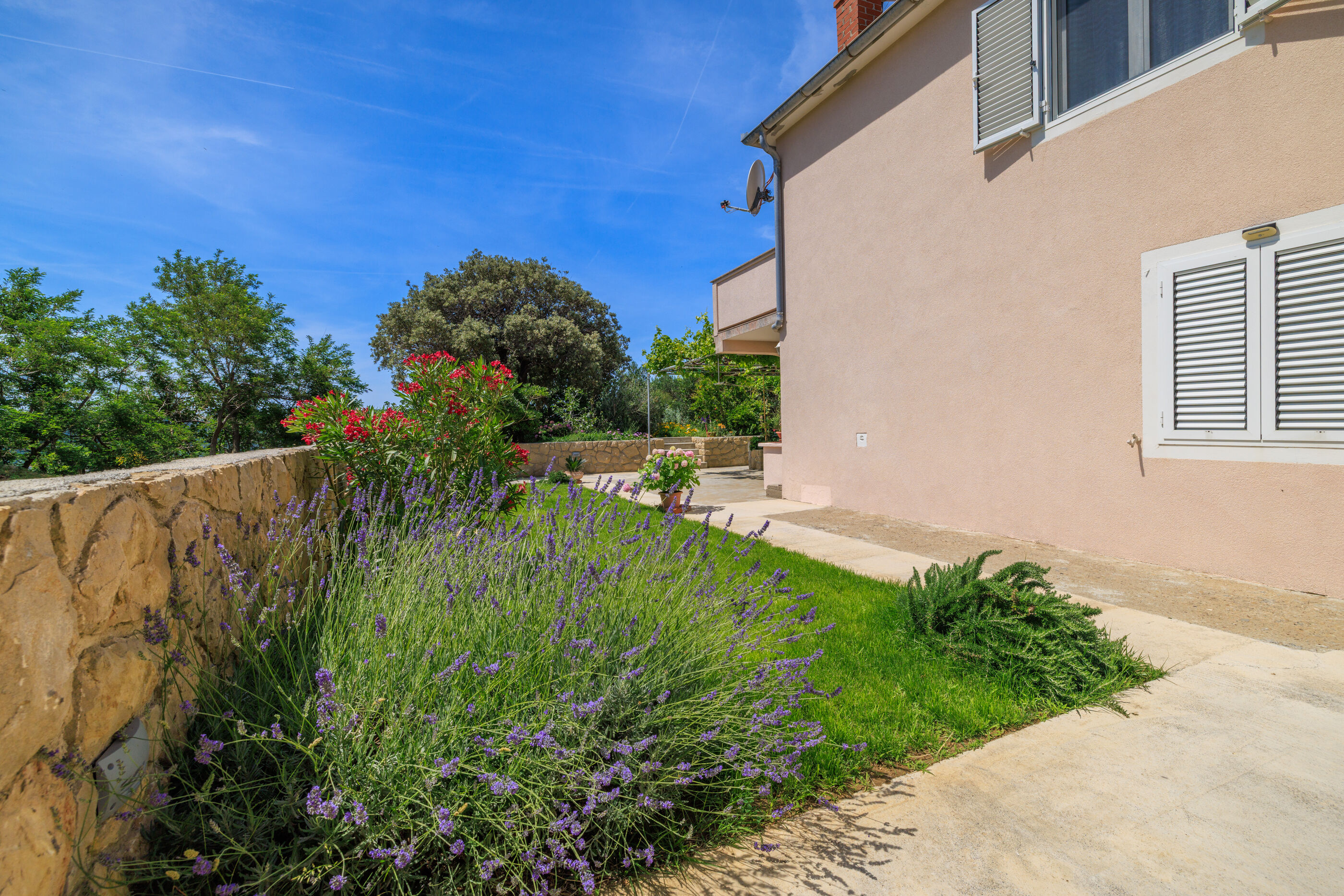 Photo of Apartment MiMa