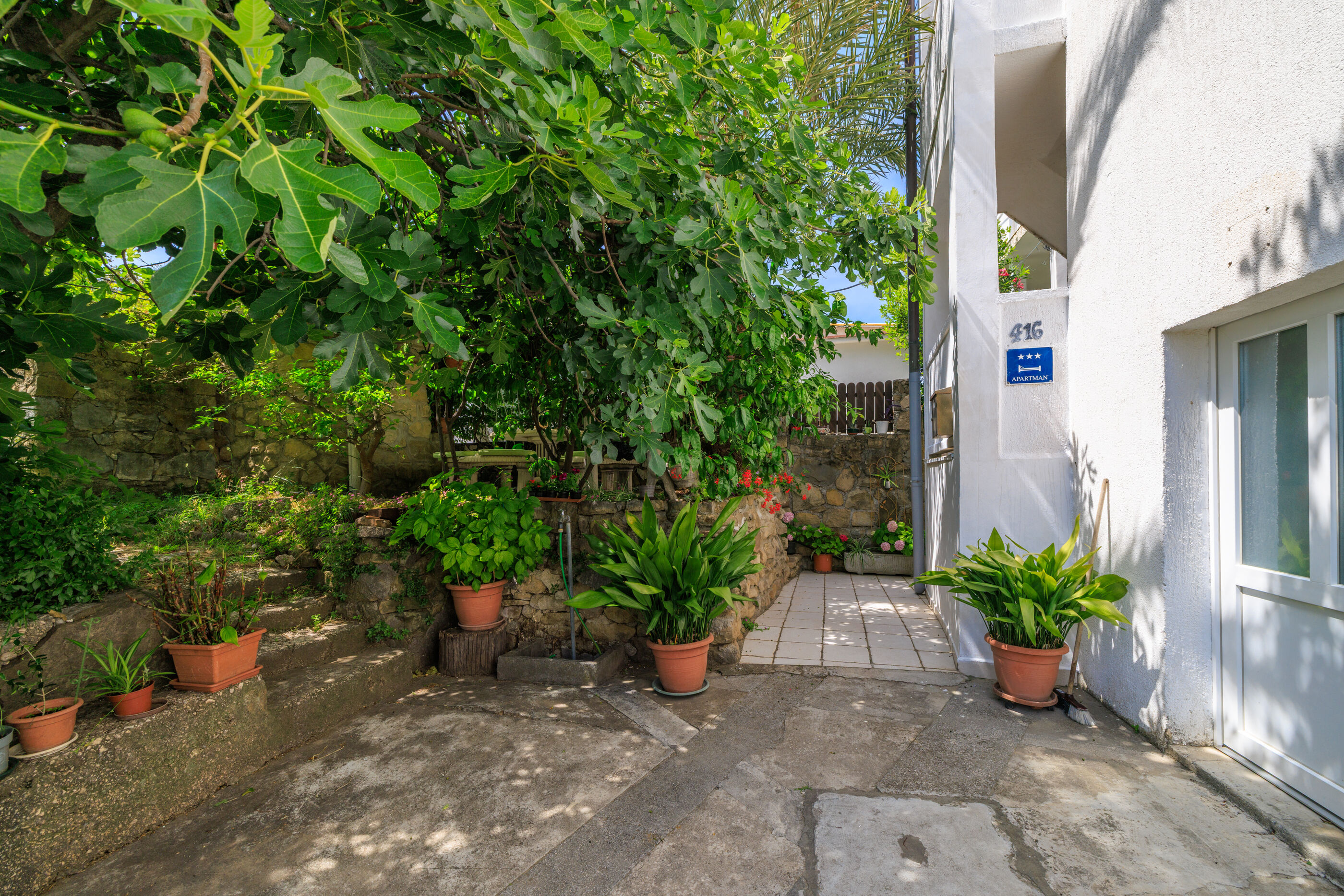 Photo of Apartments Jug