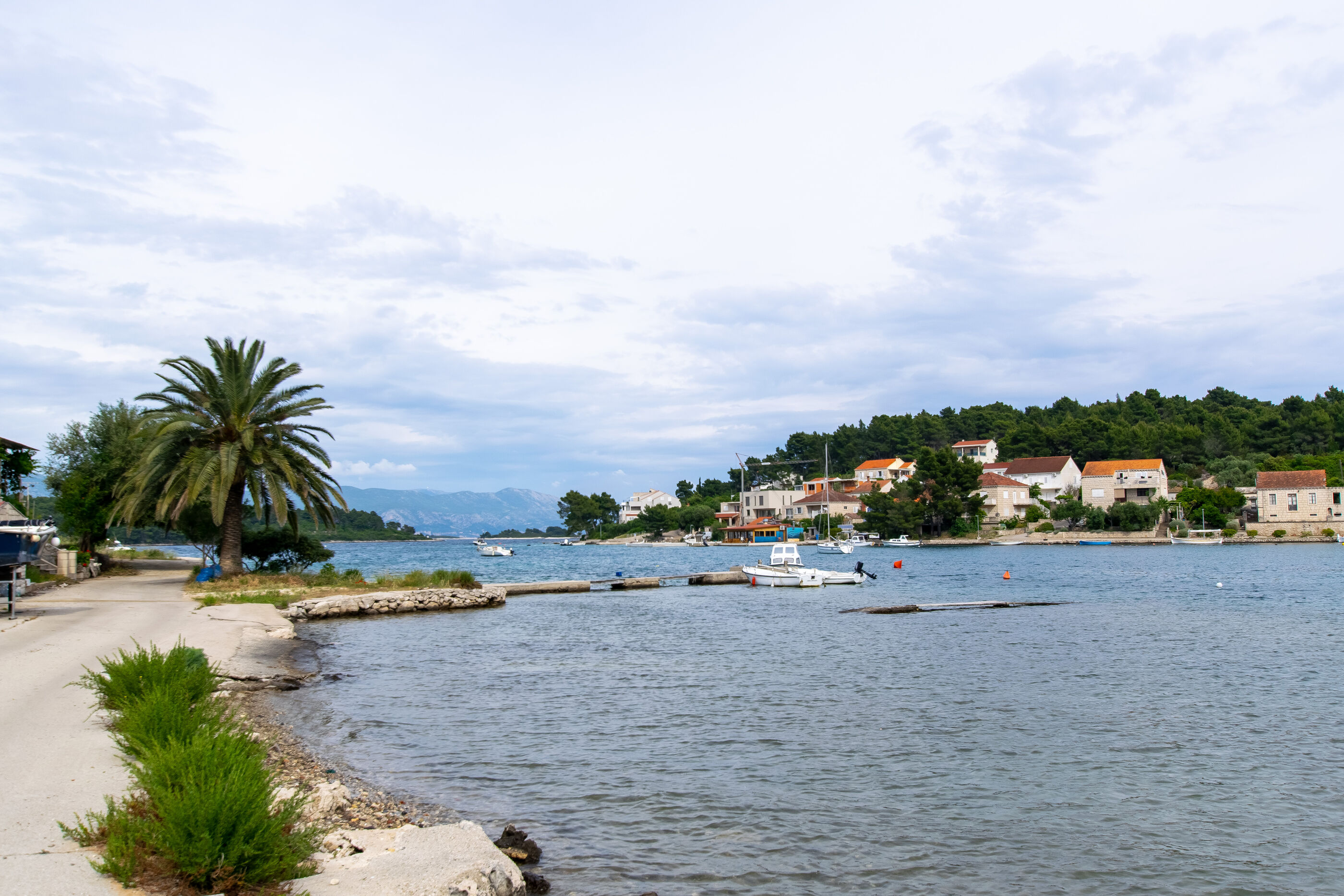 Photo of Apartment Sunny