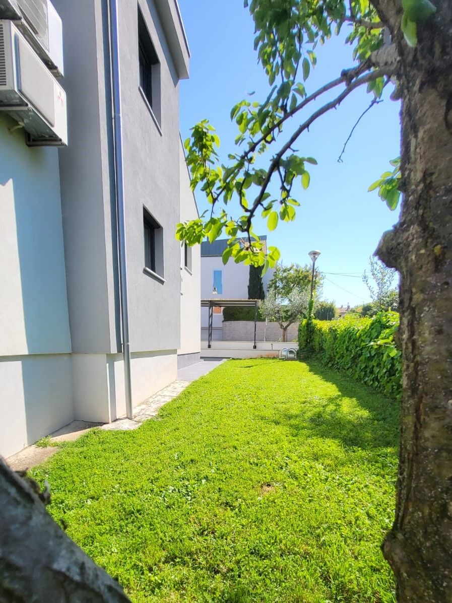 Photo of House Tinis