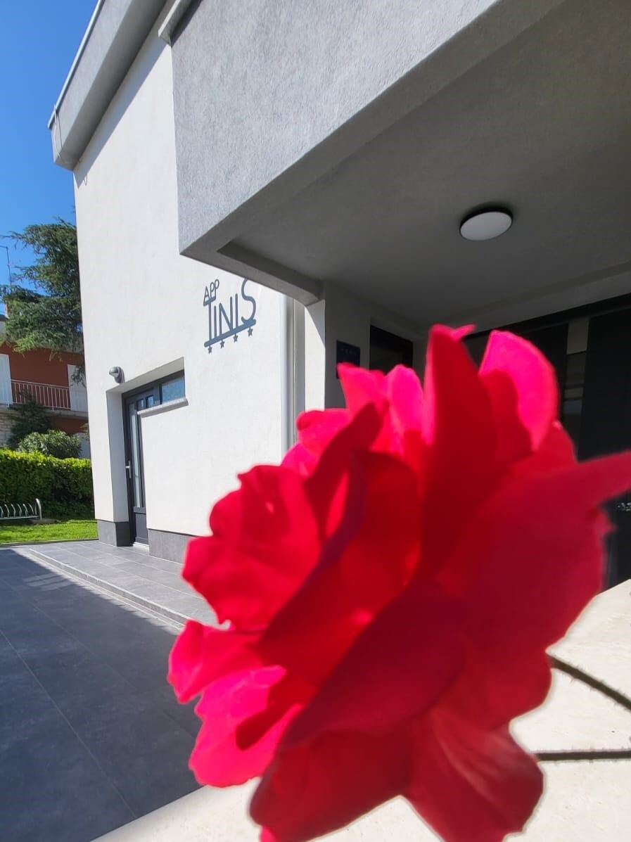 Photo of House Tinis