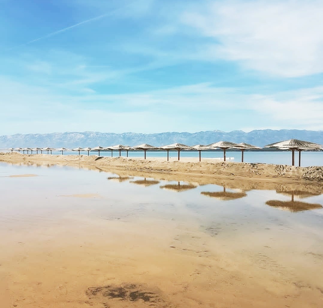 Photo of Apartments Villa Privlaka Relax