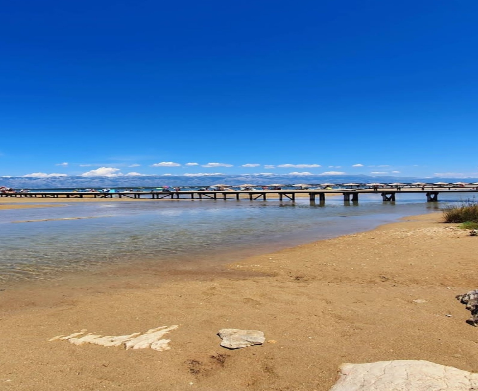 Photo of Apartments Villa Privlaka Relax