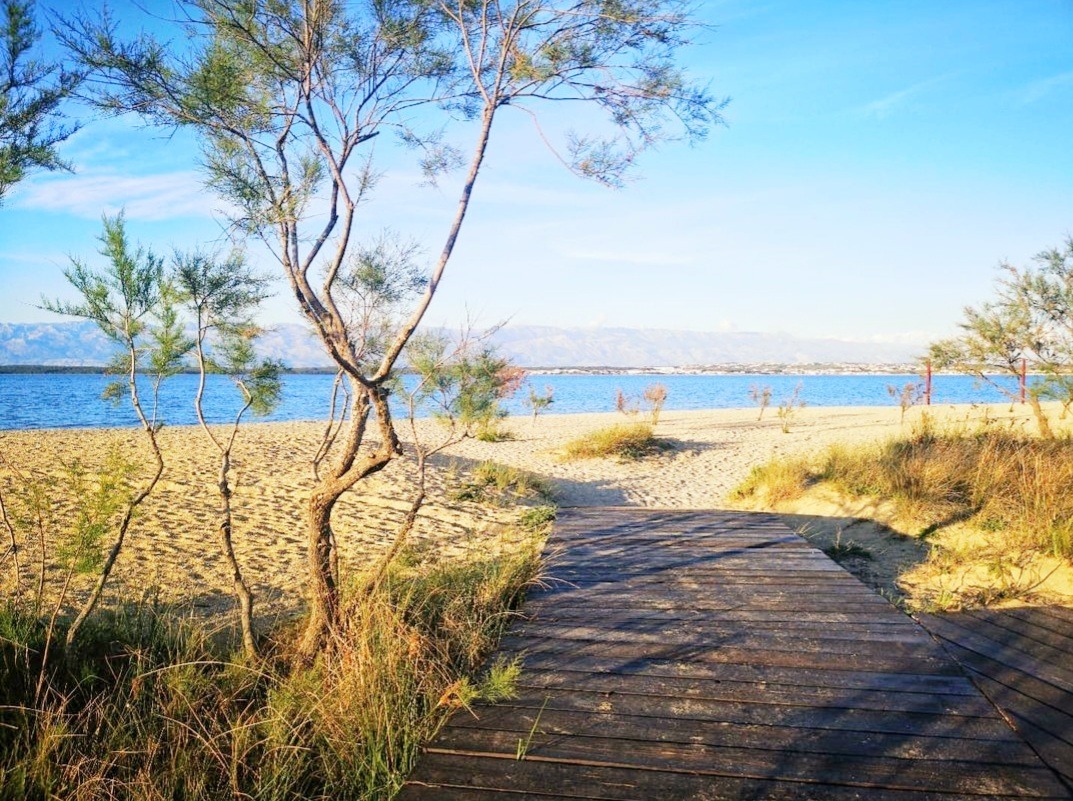 Photo of Apartments Villa Privlaka Relax