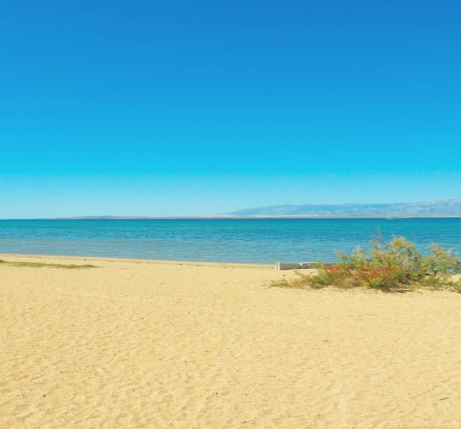 Photo of Apartments Villa Privlaka Relax