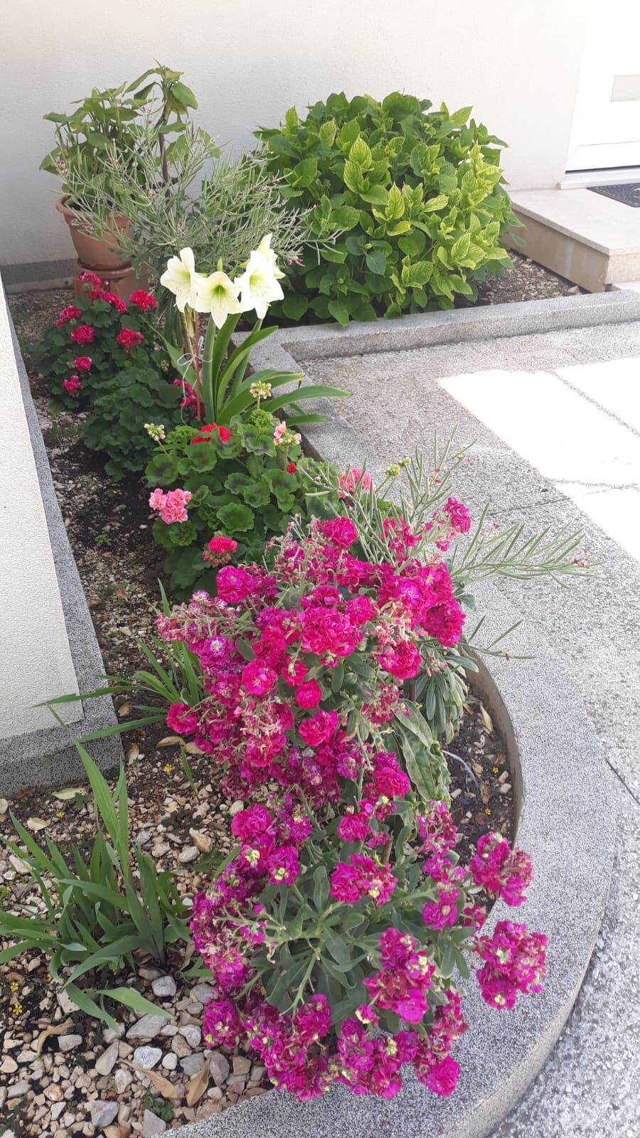 Photo of House Marija