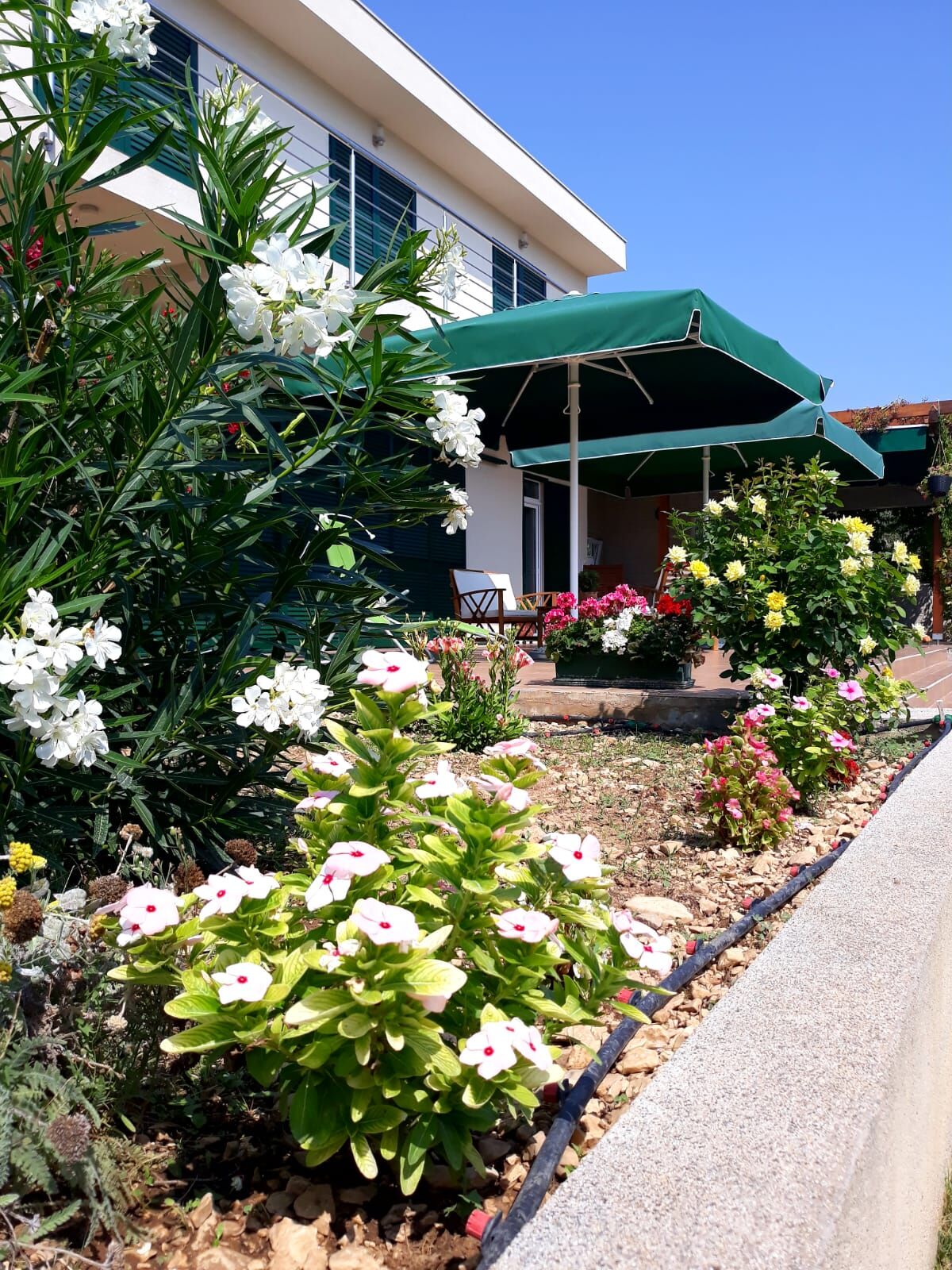 Photo of House Marija