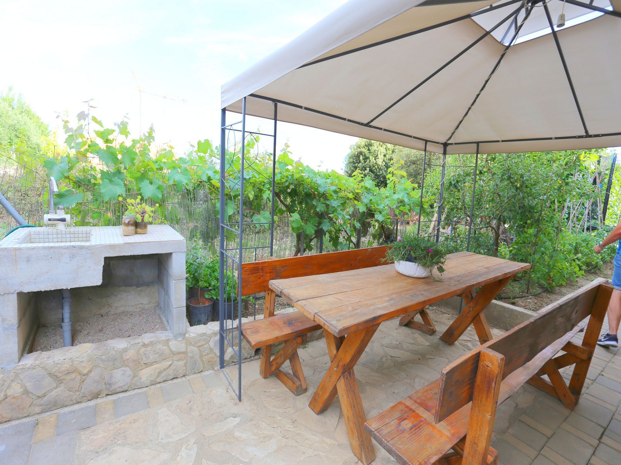 Photo of Apartment Marica