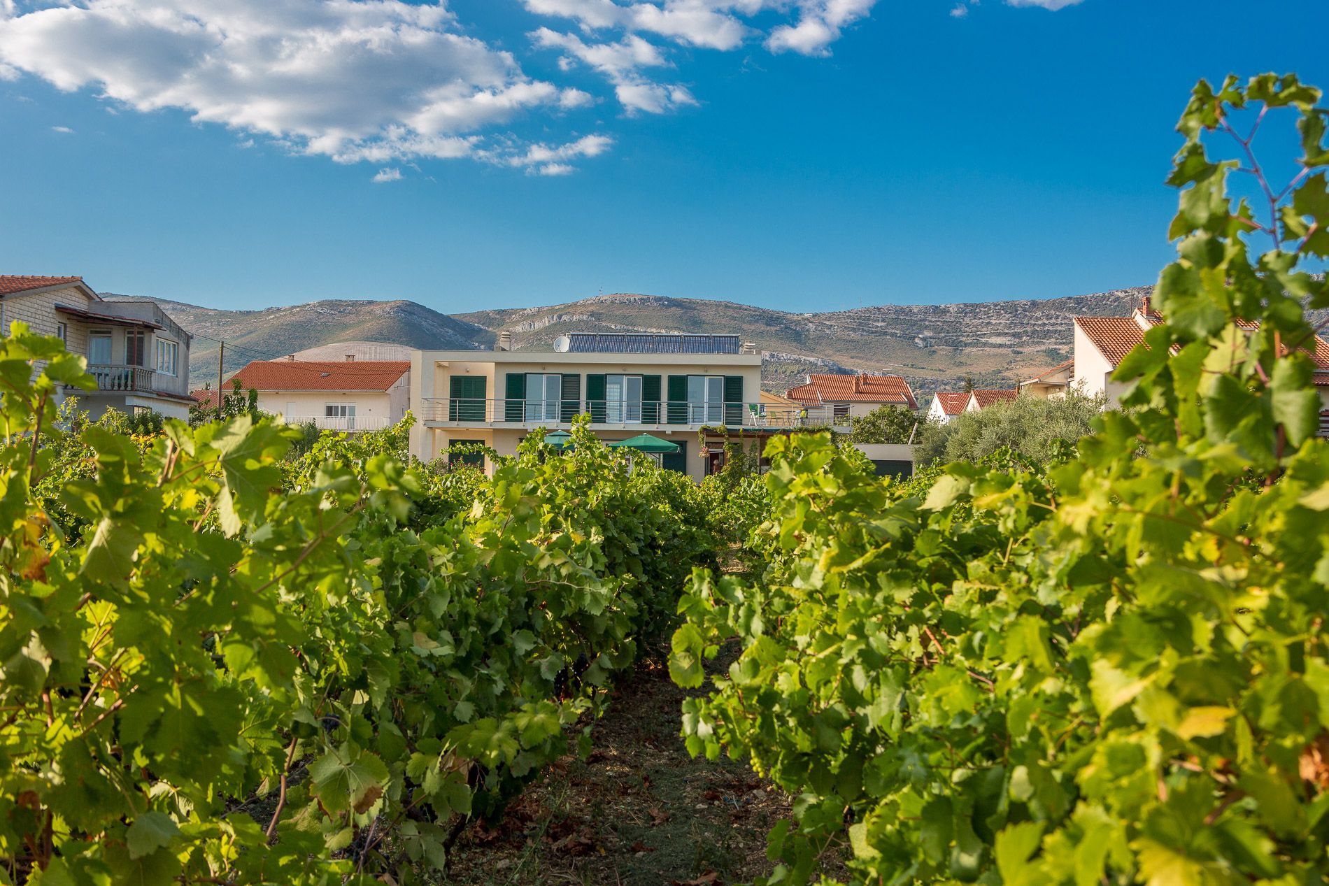 Photo of House Marija