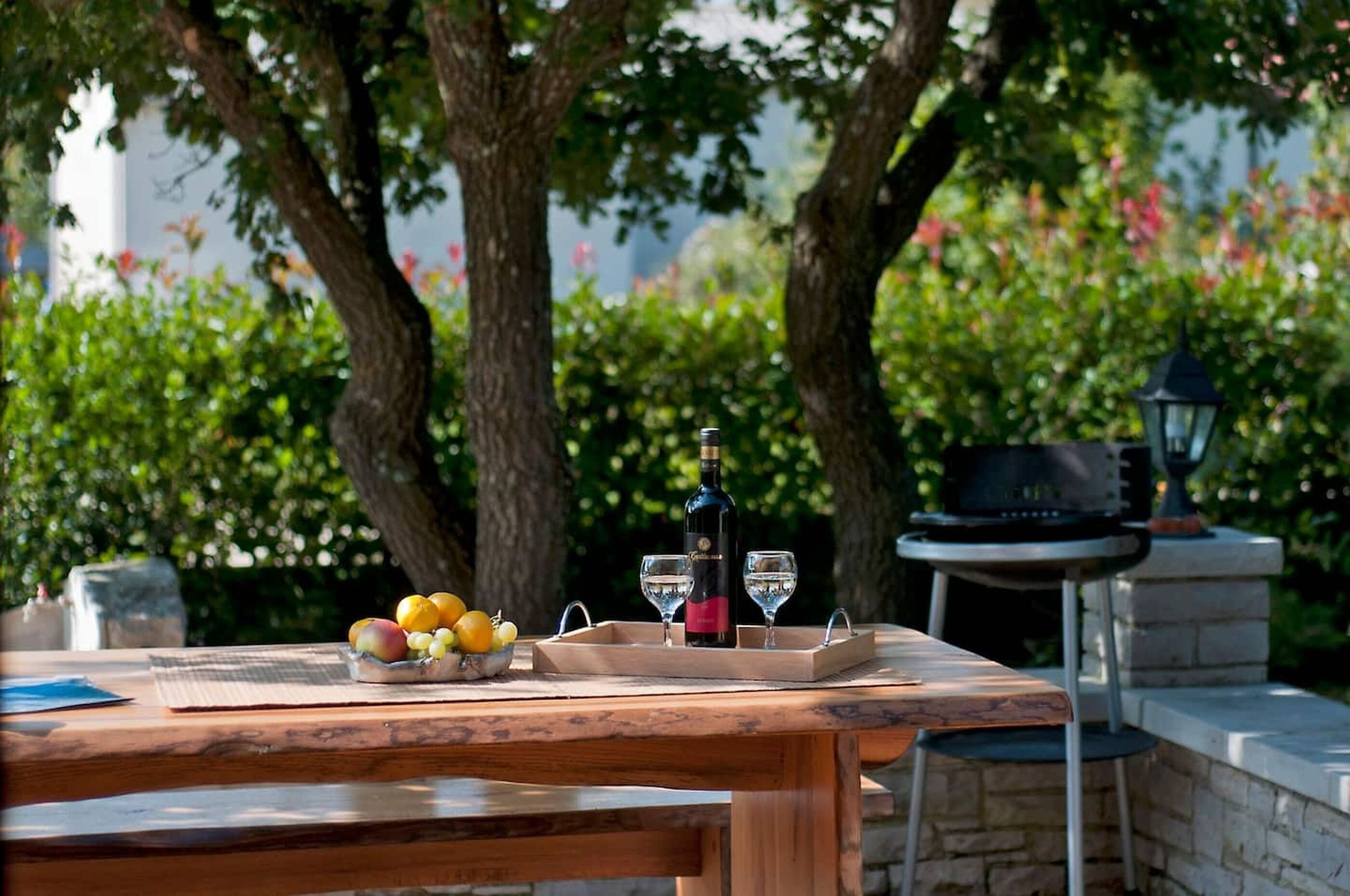 Photo of House Salvia