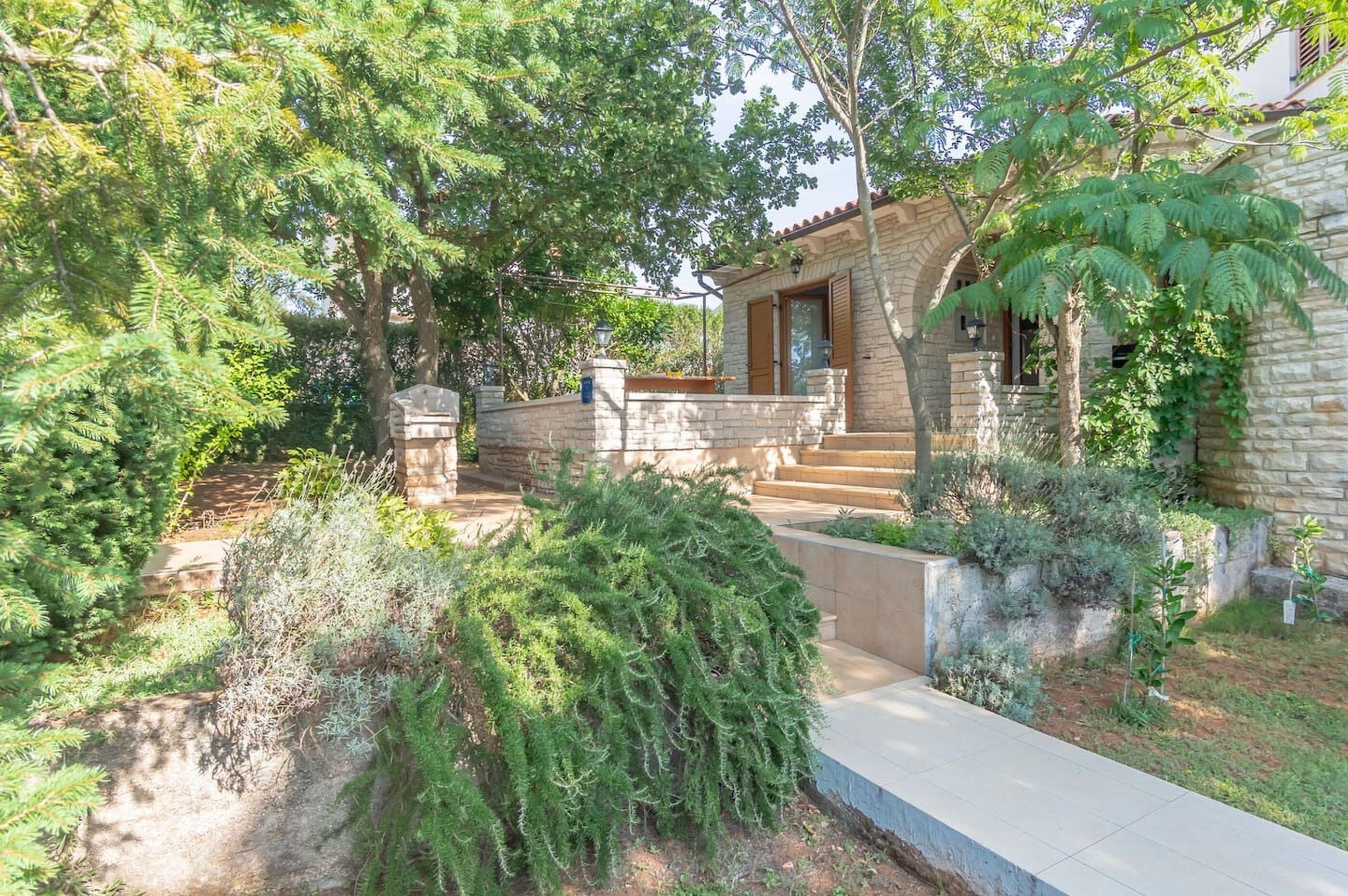 Photo of House Salvia