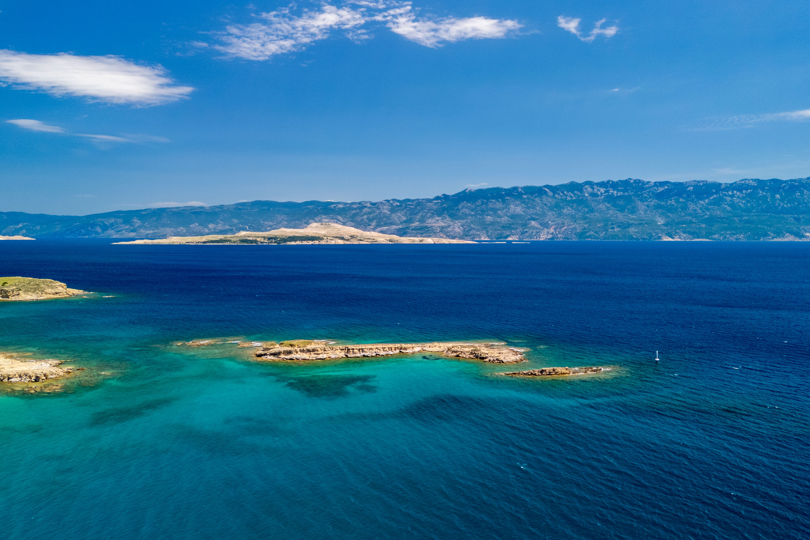 Photo of Apartment Dino