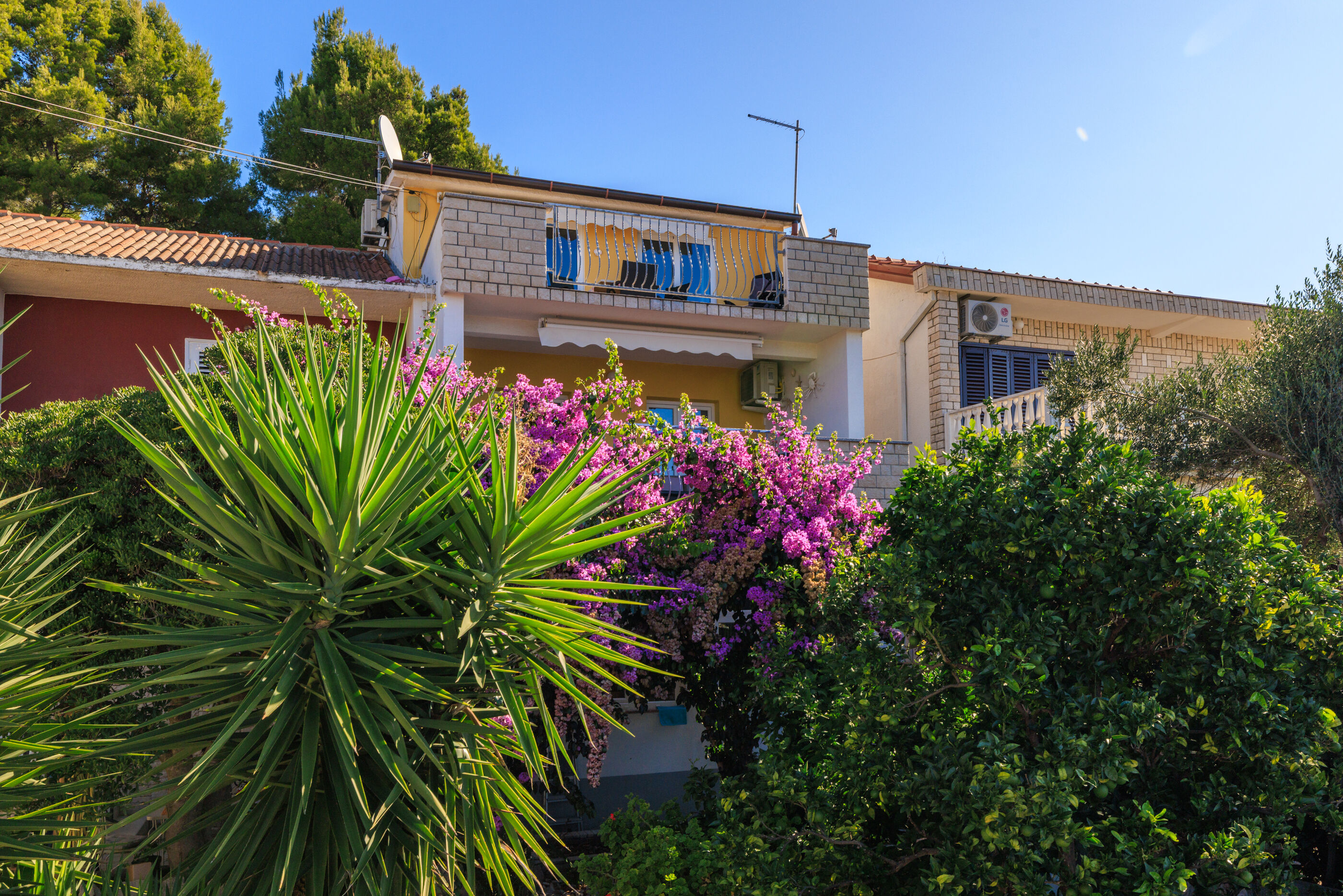 Photo of Apartments Biserka