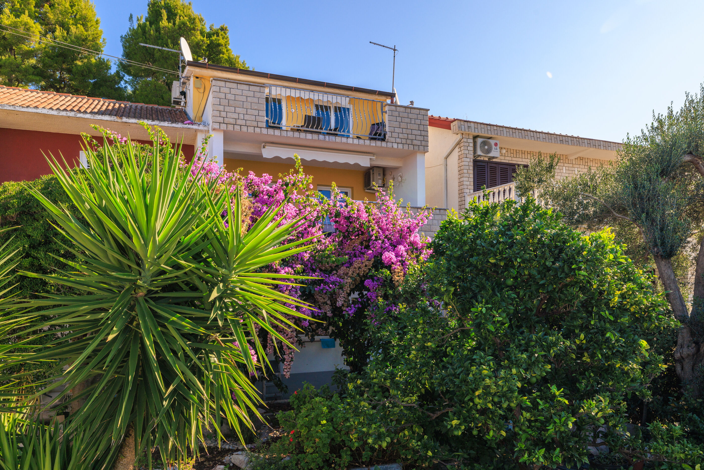 Photo of Apartments Biserka