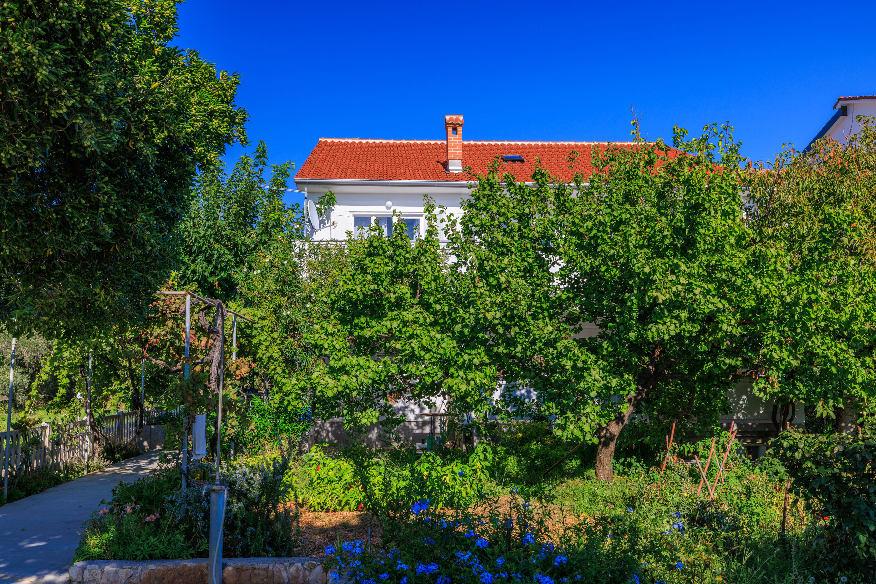 Photo of Apartments Ivica