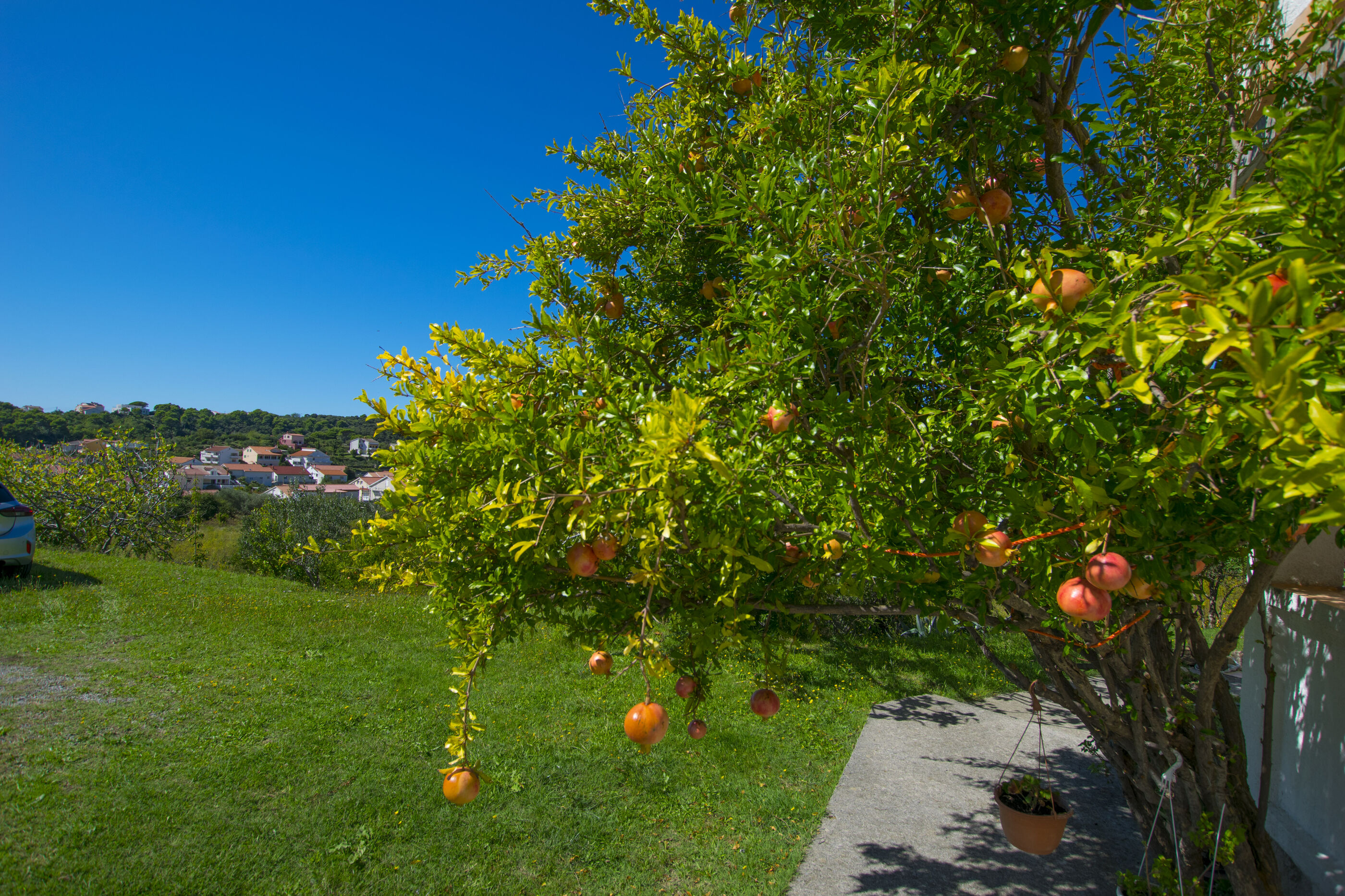 Photo of Apartments Rasic