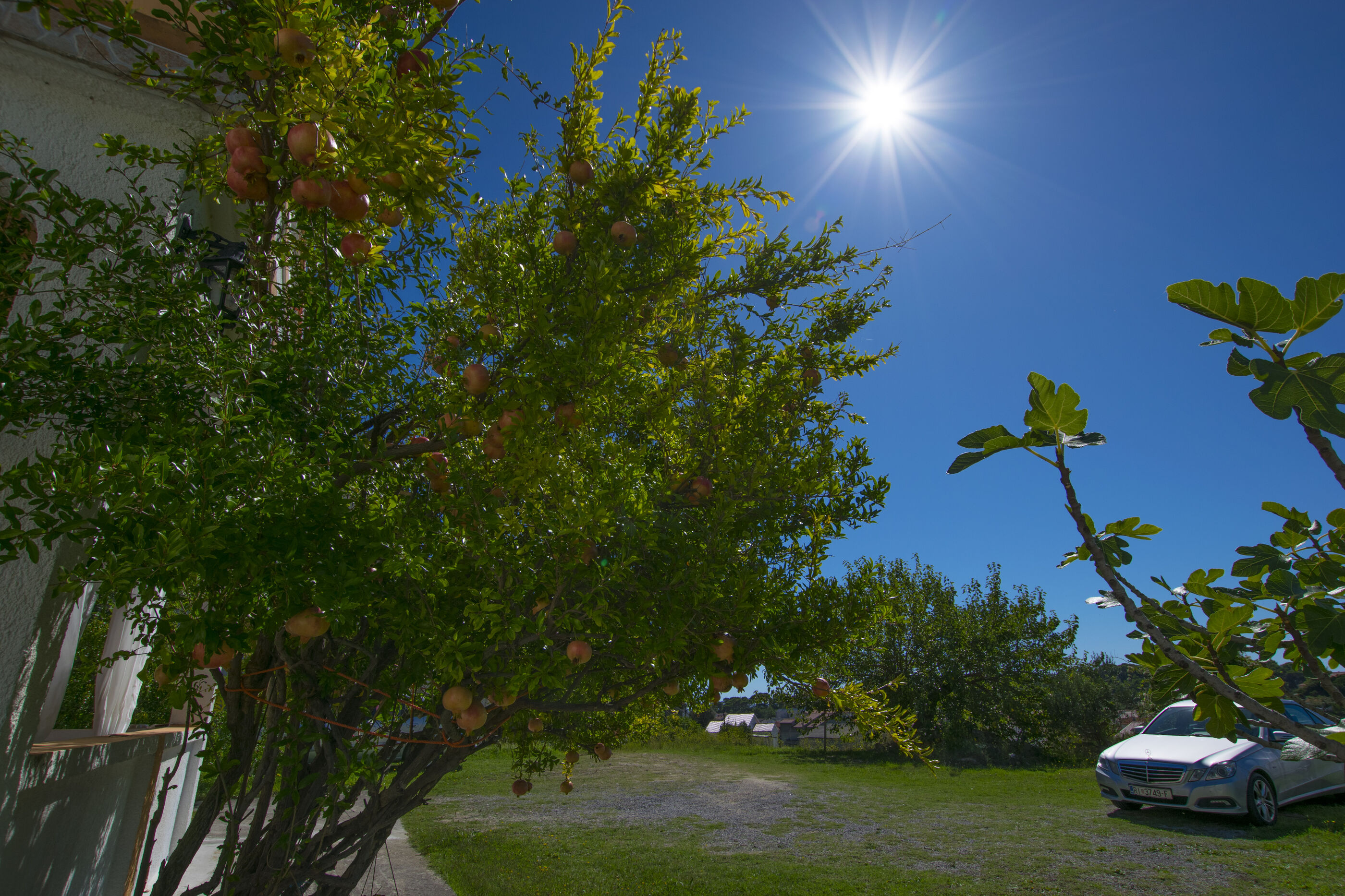 Photo of Apartments Rasic