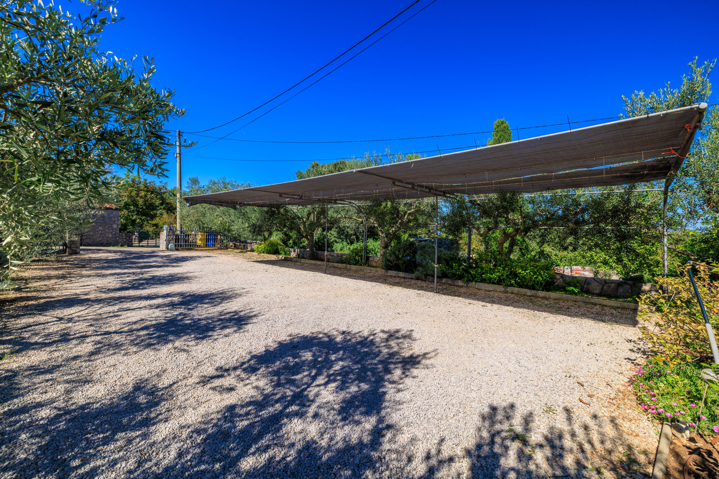 Photo of House Marija