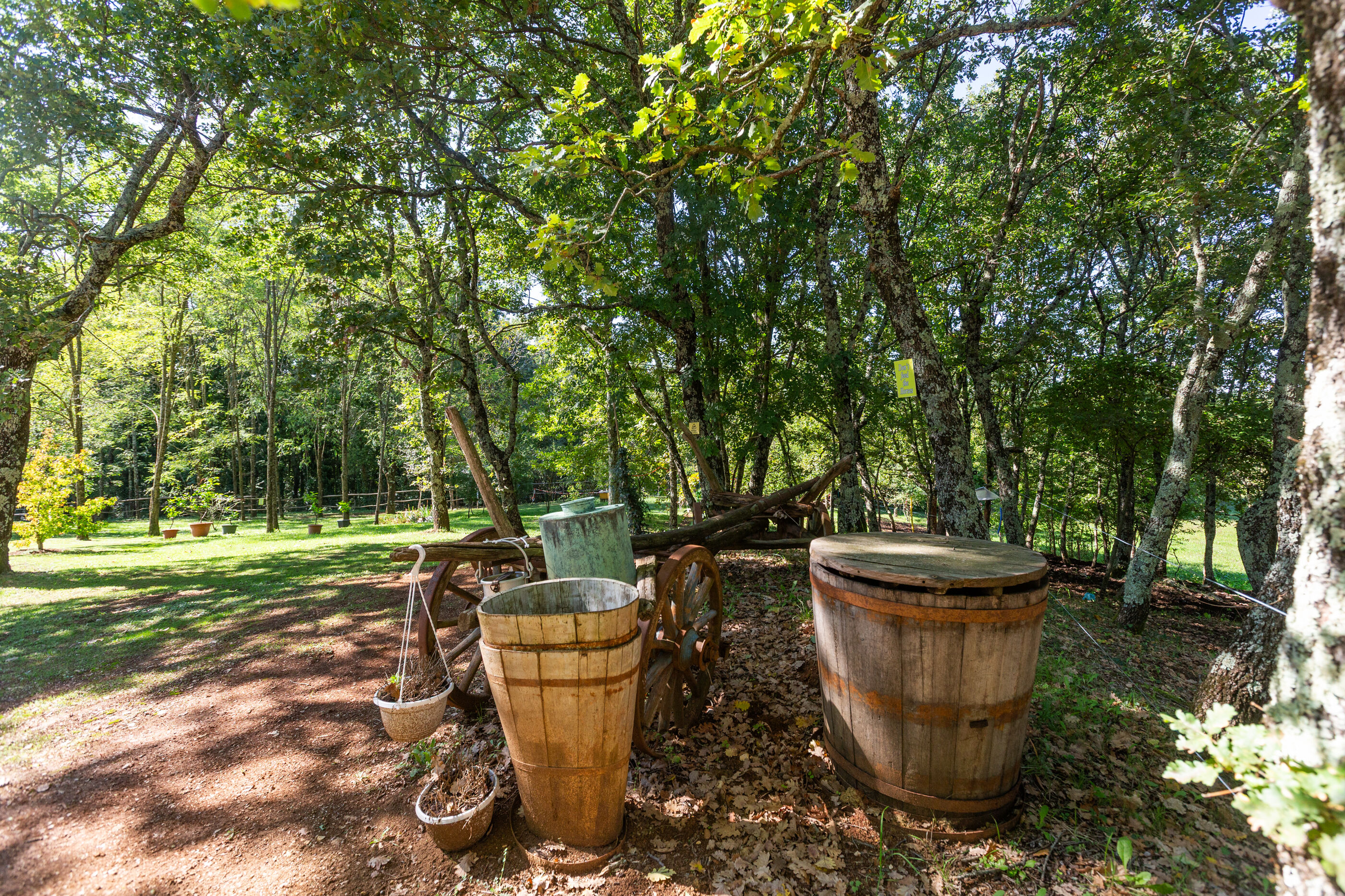 Photo of Villa Cetiri Hrasta