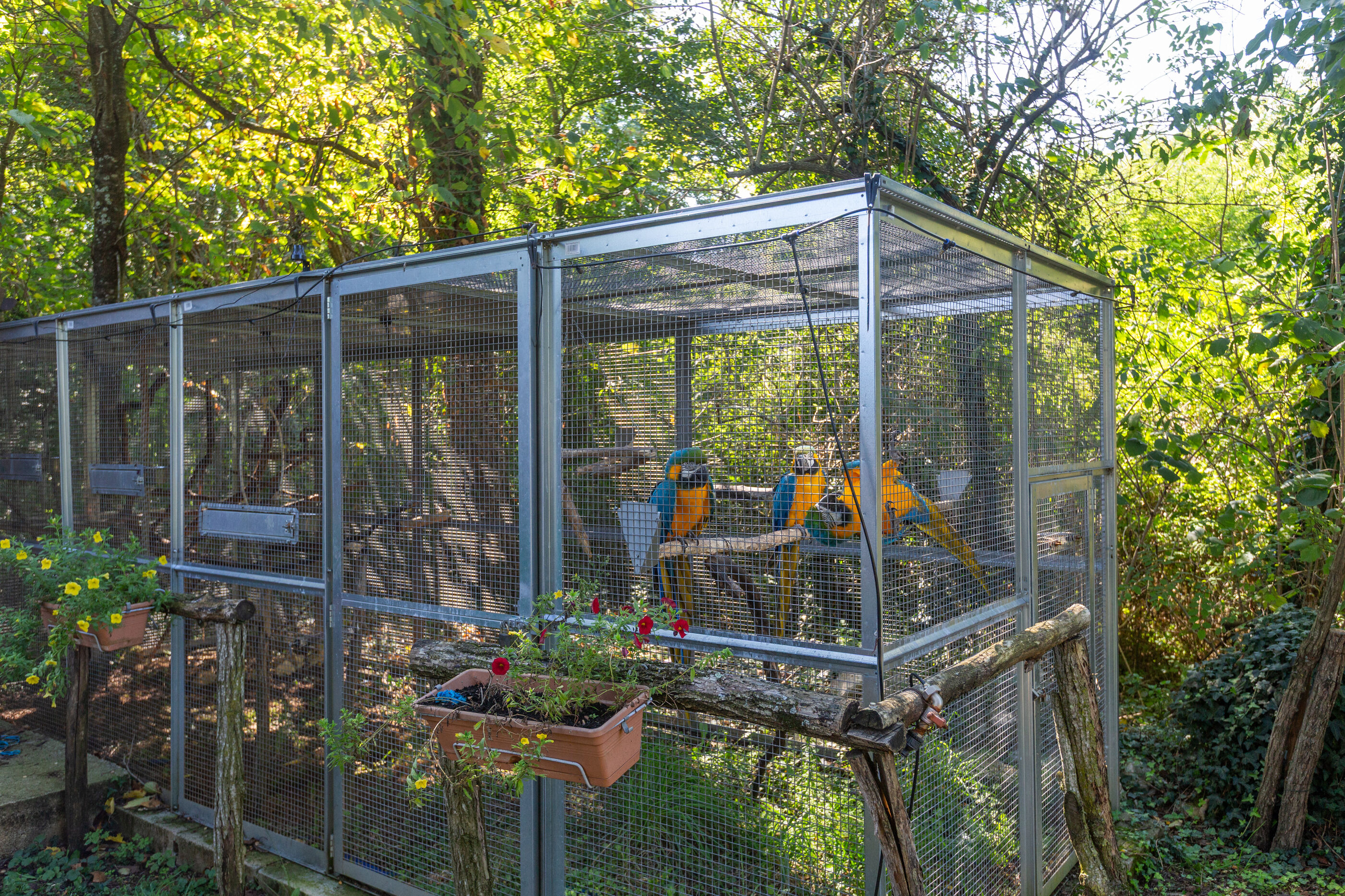 Photo of Villa Cetiri Hrasta