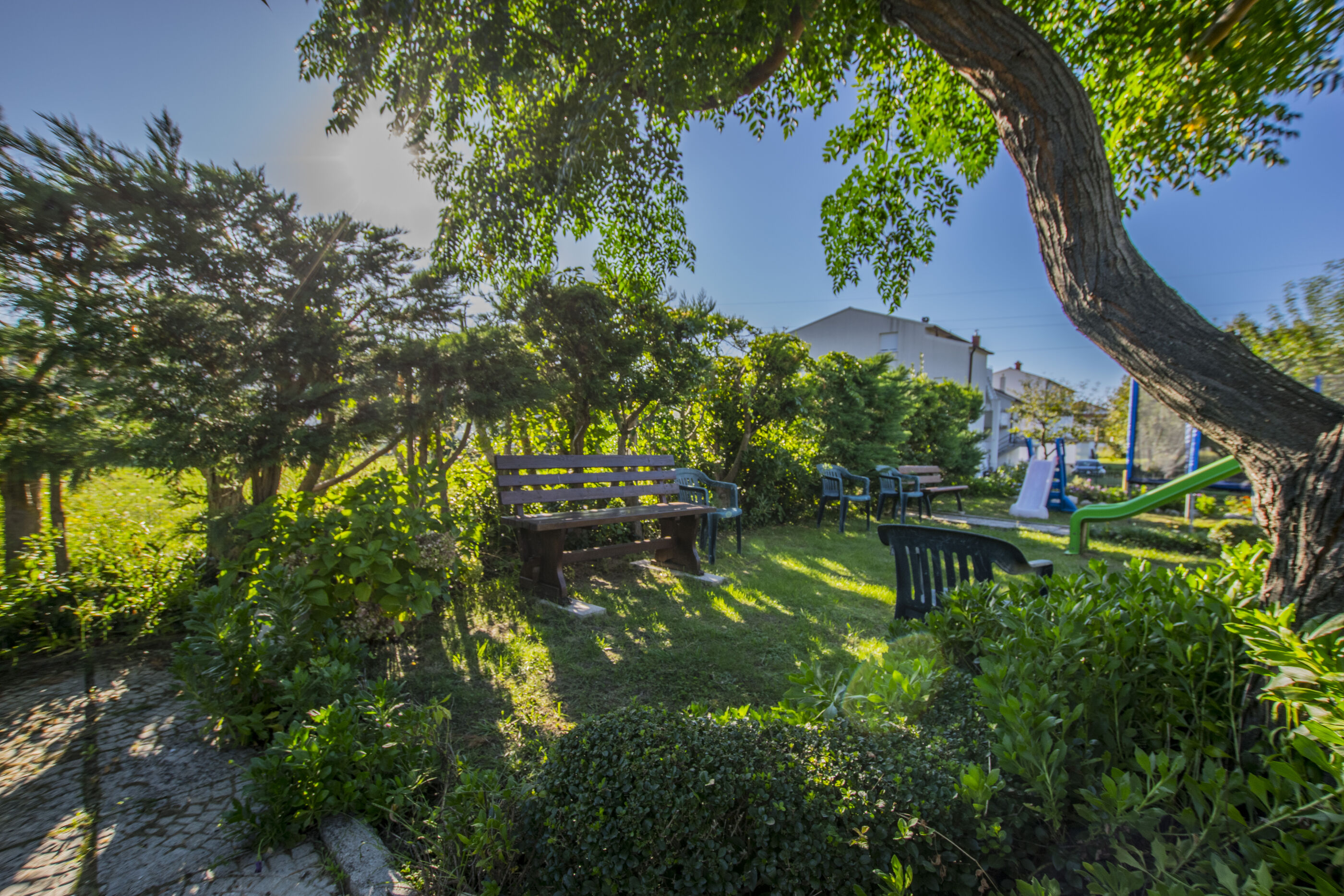 Photo of Apartments Boza