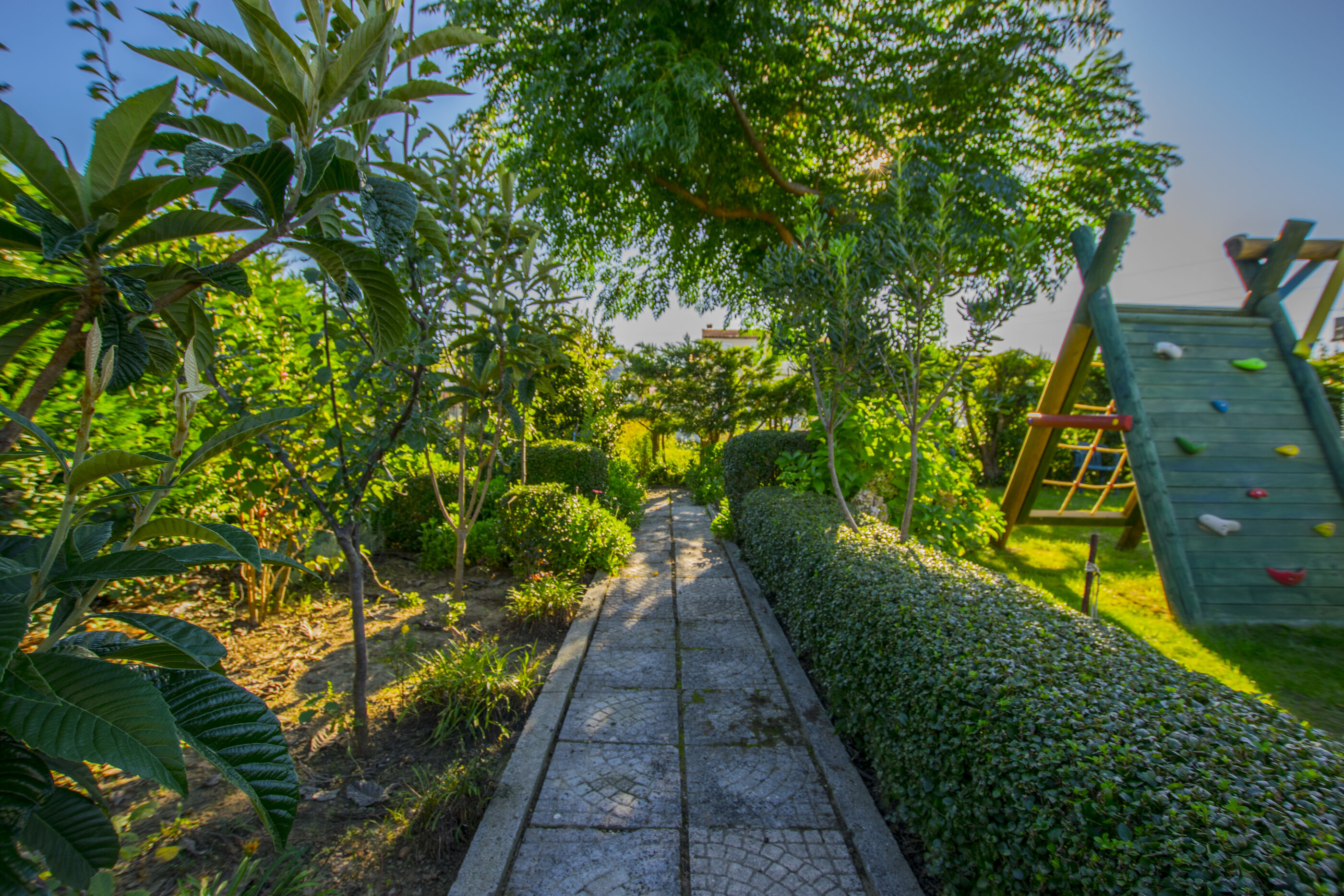 Photo of Apartments Boza