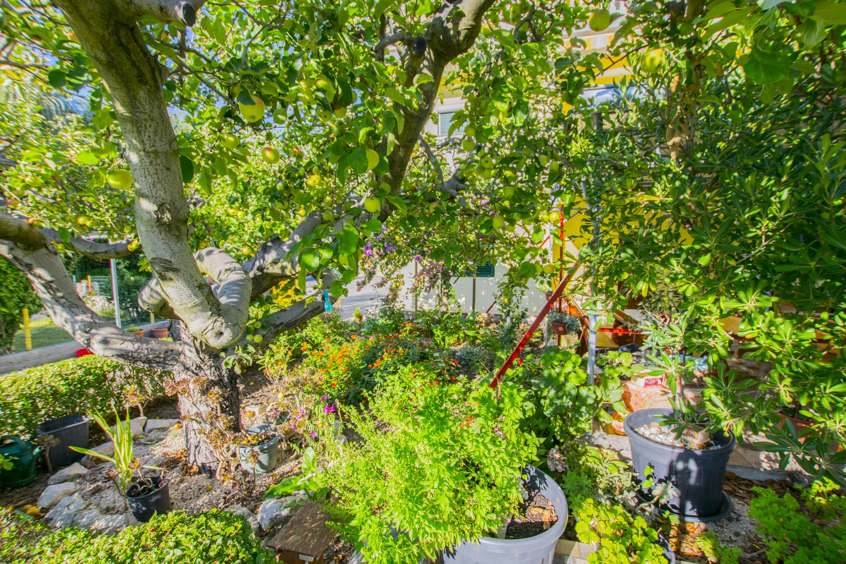 Photo of Apartments Boza