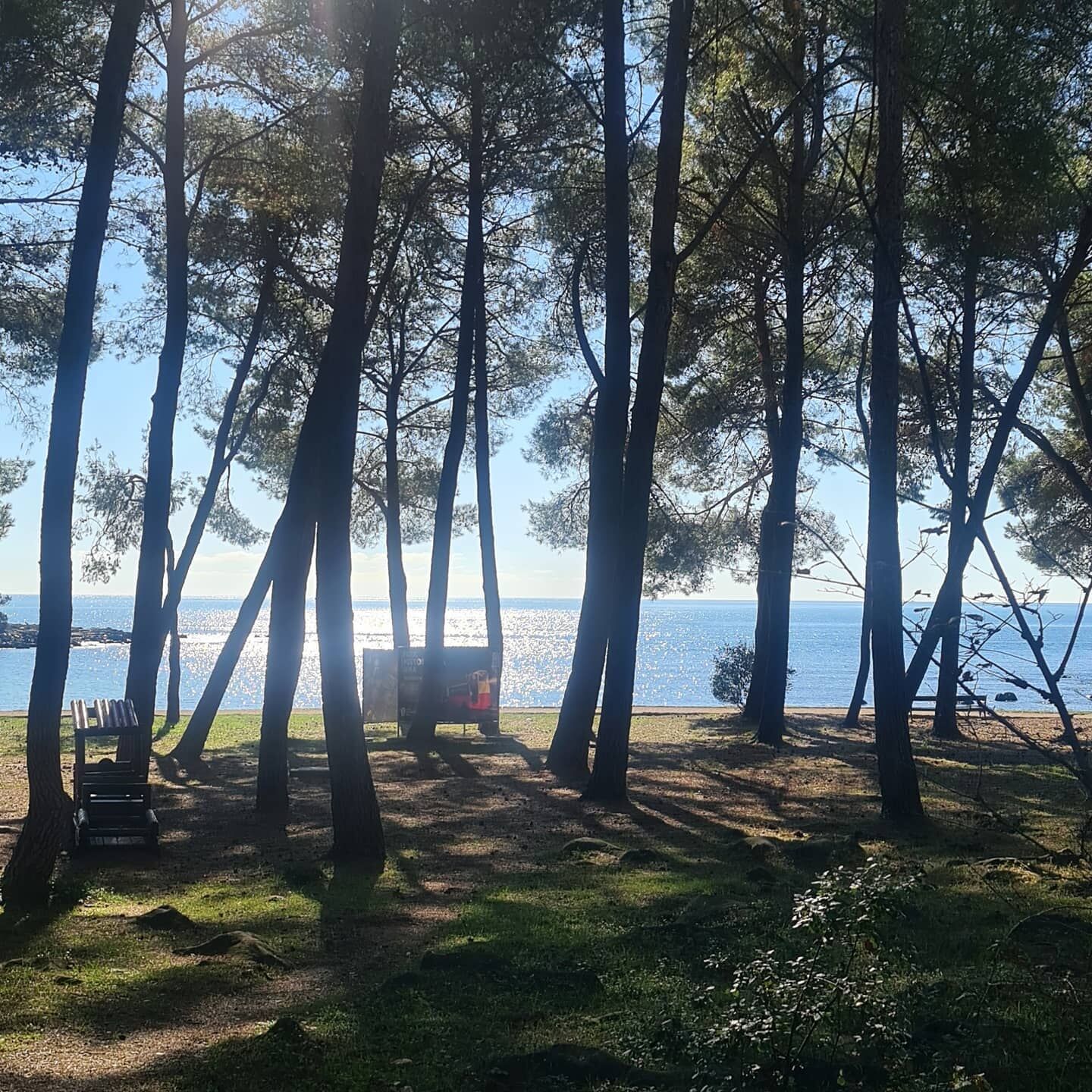 Photo of Apartments IVO