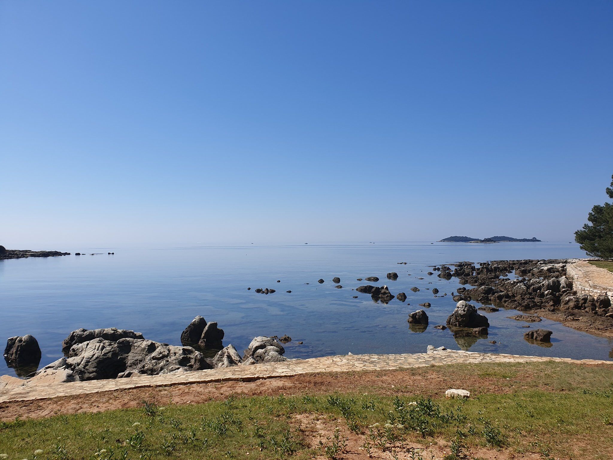 Photo of Apartments IVO